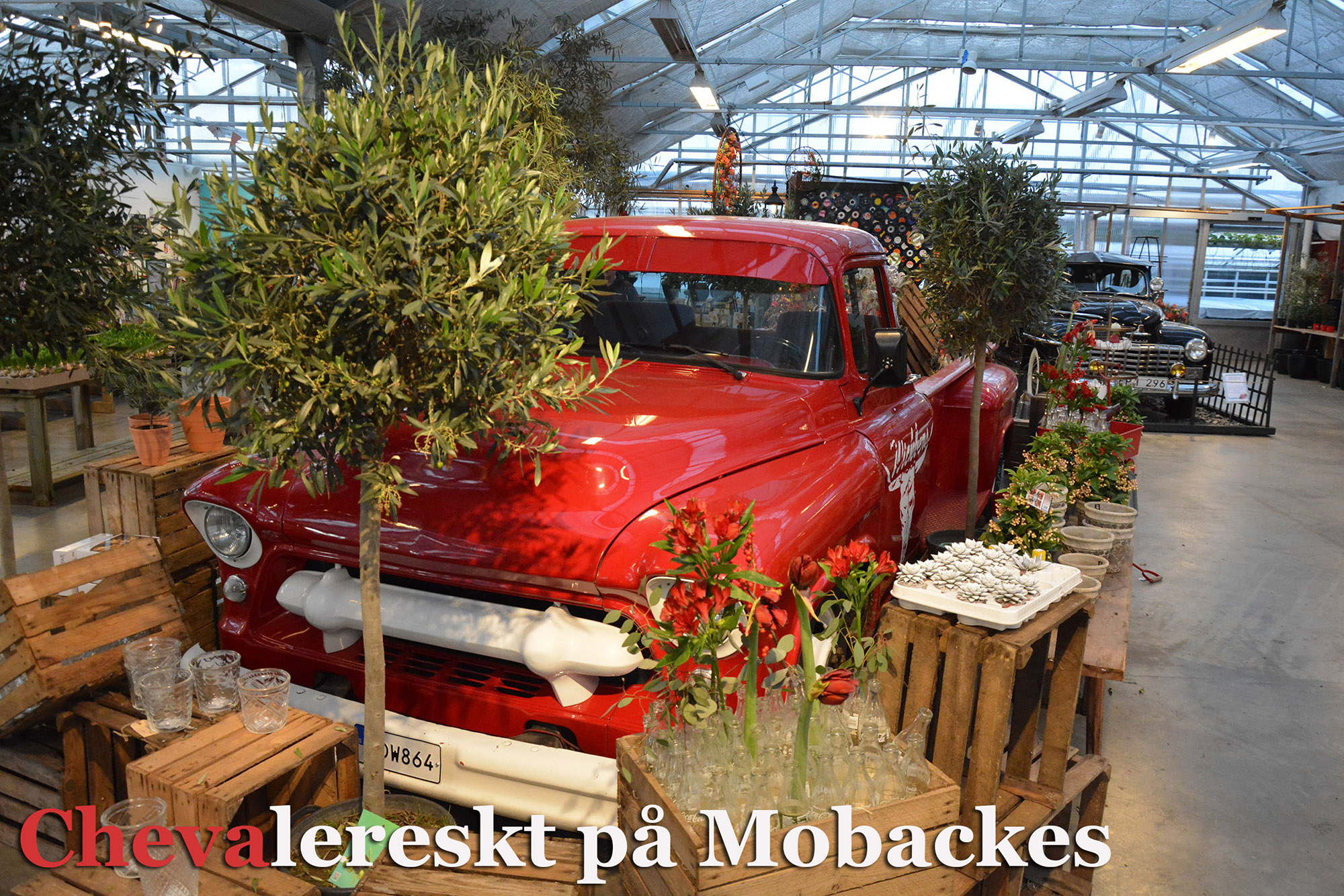 Röste.nu – Bygdens Nytt nr 1 2018 – Småsaker med Pär Nordqvist – Chevalereskt på Mobackes