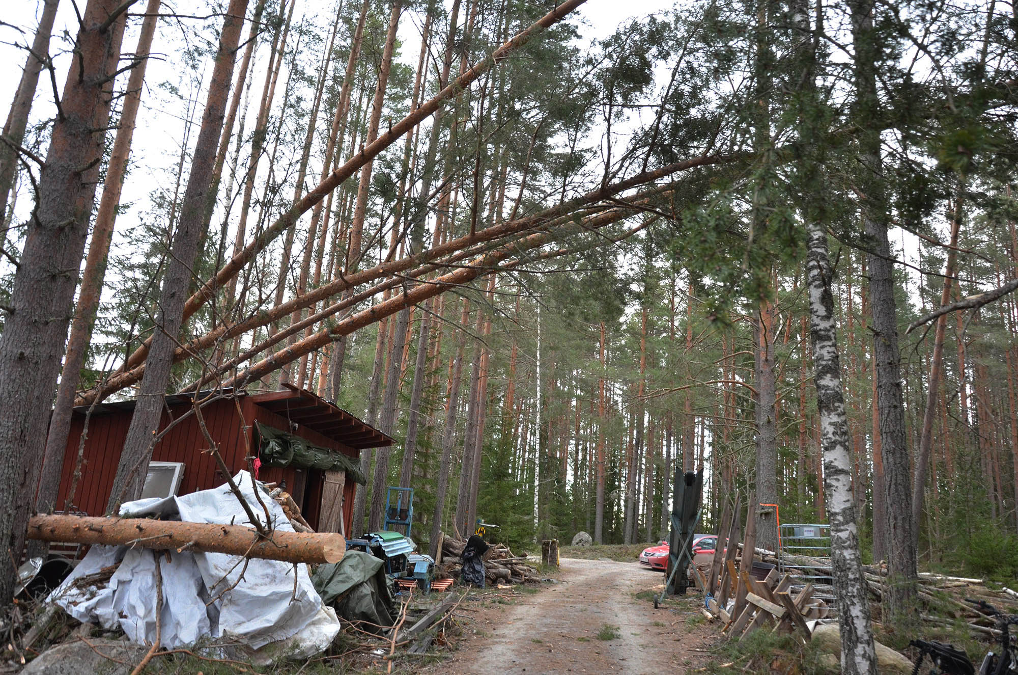 Röste.nu – Bygdens Nytt nr 1 2026 – Nyheter – Så drabbades Röste av stormen Johannes 2025