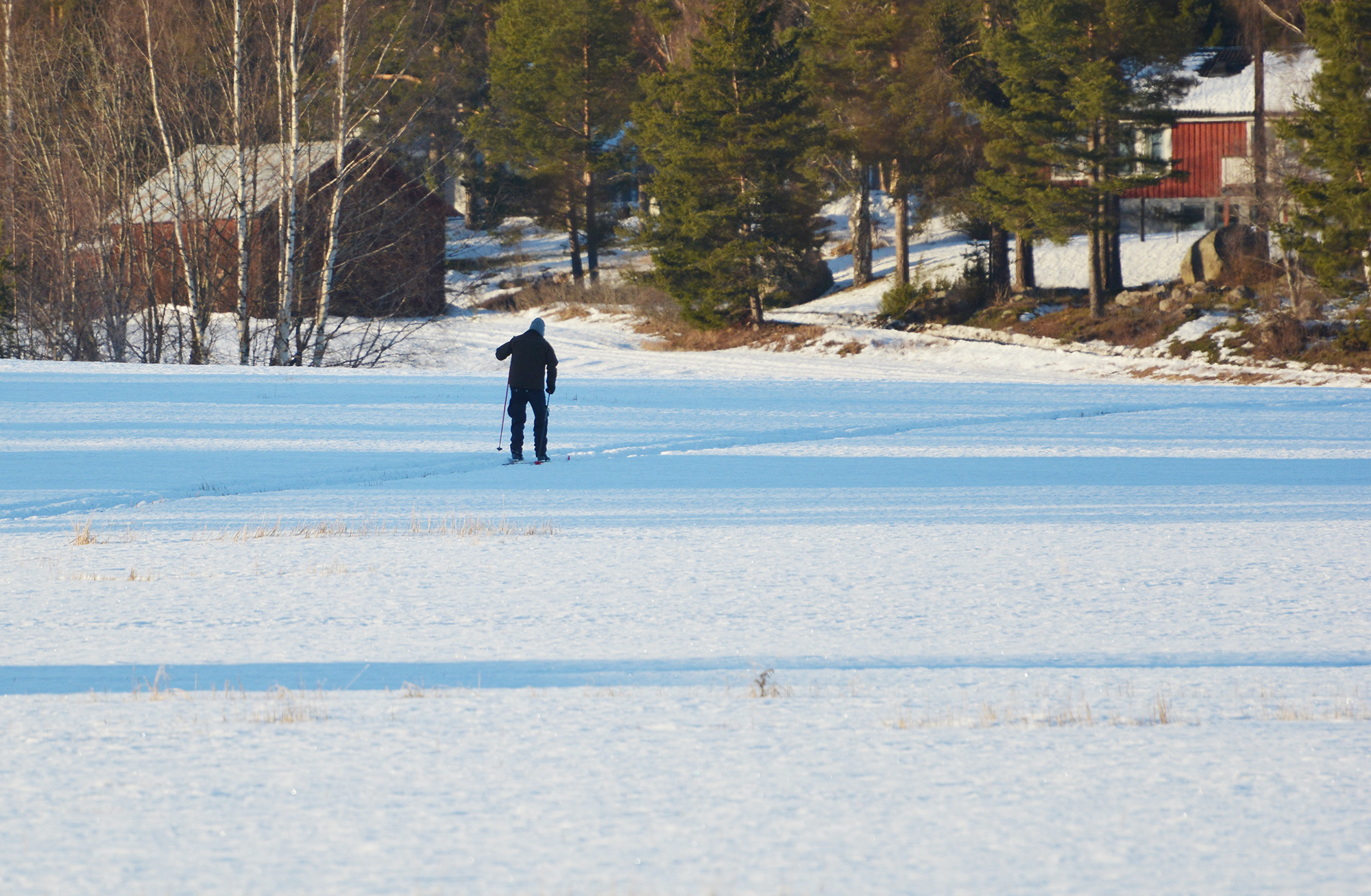 Röste.nu – Bygdens Nytt nr 2 2018 – Småsaker med Pär Nordqvist – Långdragen vinter blir vår