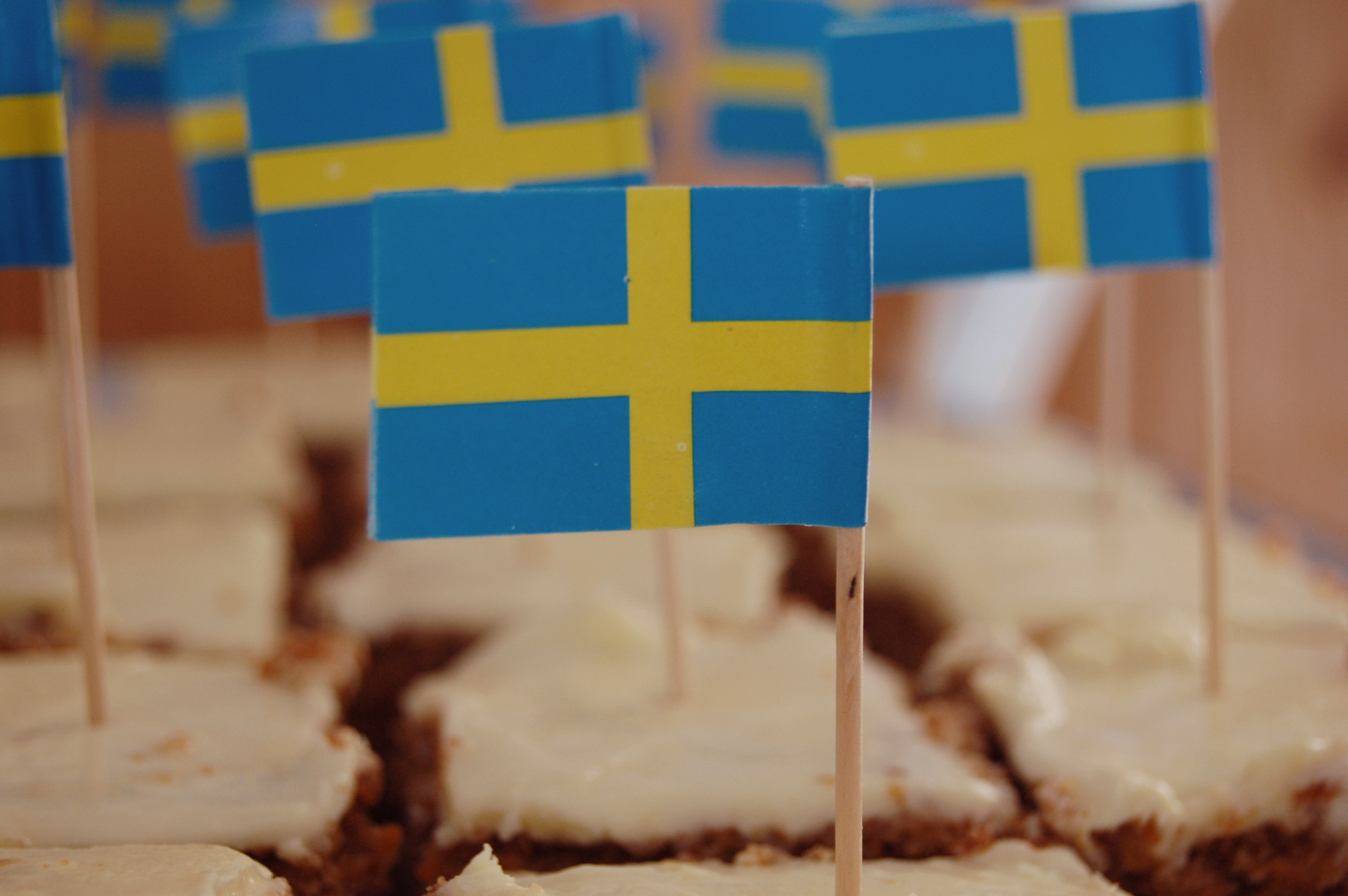 Röste.nu – Bygdens Nytt nr 3 2011 – Nyheter – Flaggor, drakar och nationalsång på 6 juni