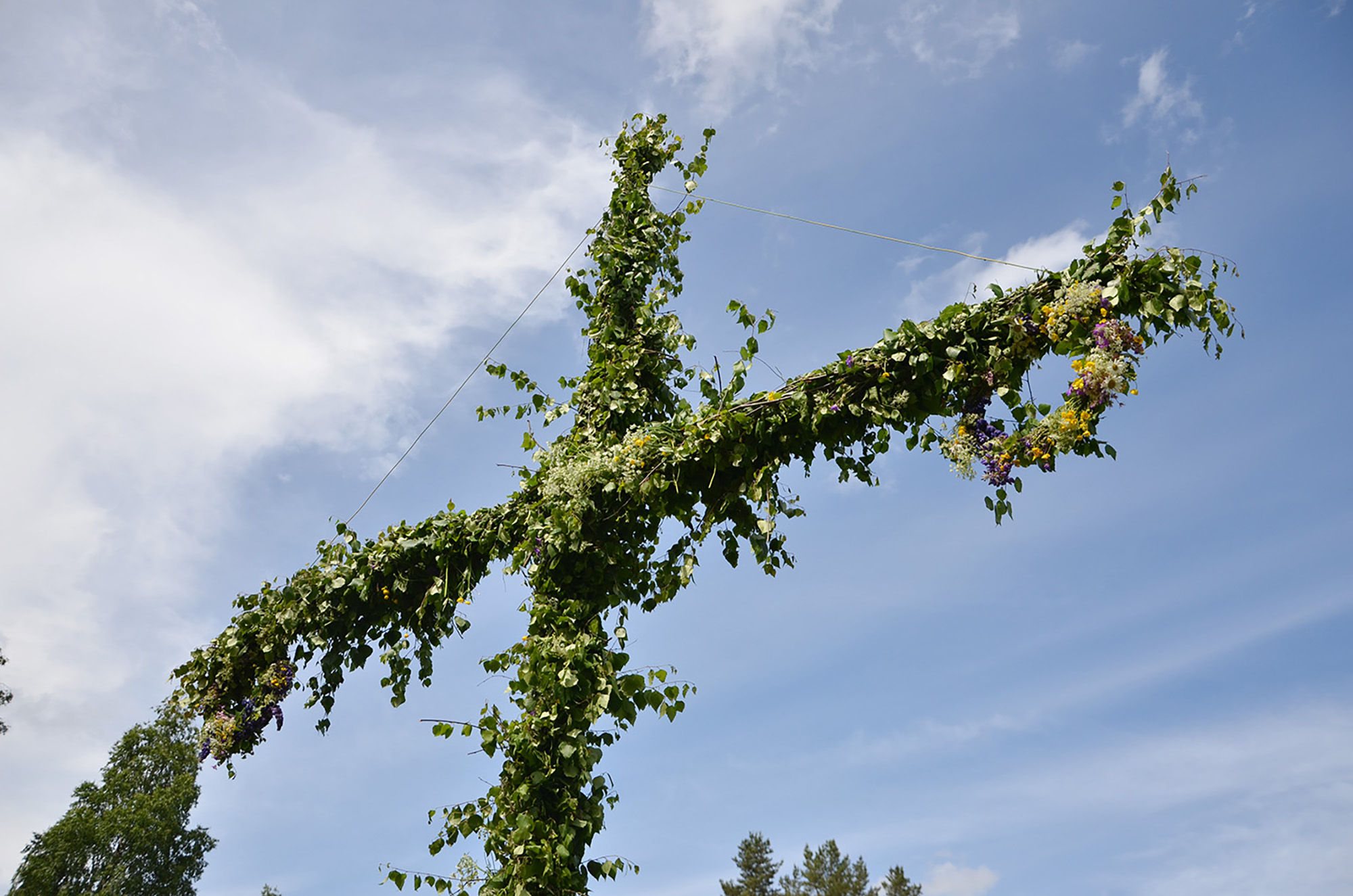 Röste.nu – Bygdens Nytt nr 3 2017 – Nyheter – Midsommar med dans, lekar, elefant och återvändare