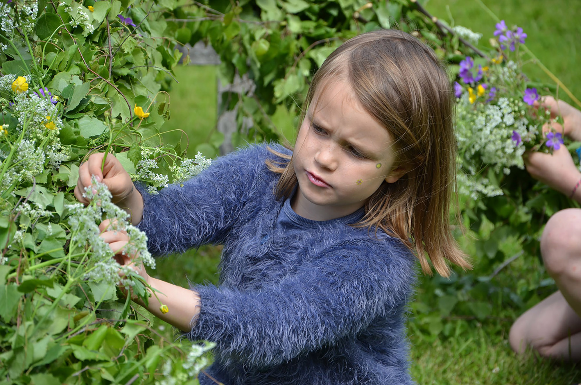 Röste.nu – Bygdens Nytt nr 3 2017 – Nyheter – Midsommar med dans, lekar, elefant och återvändare