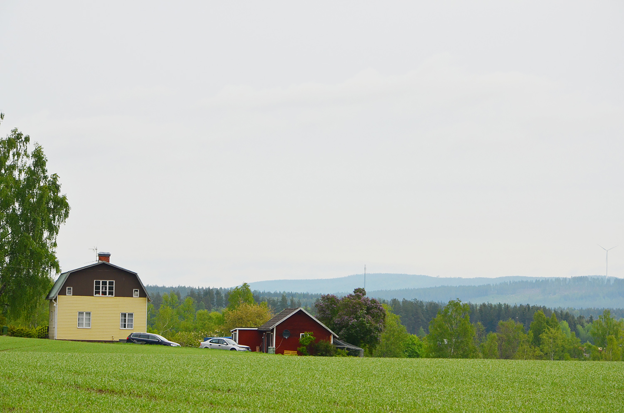 Röste.nu – Bygdens Nytt nr 3 2017 – Småsaker med Pär Nordqvist – Här är den sköna sommar...