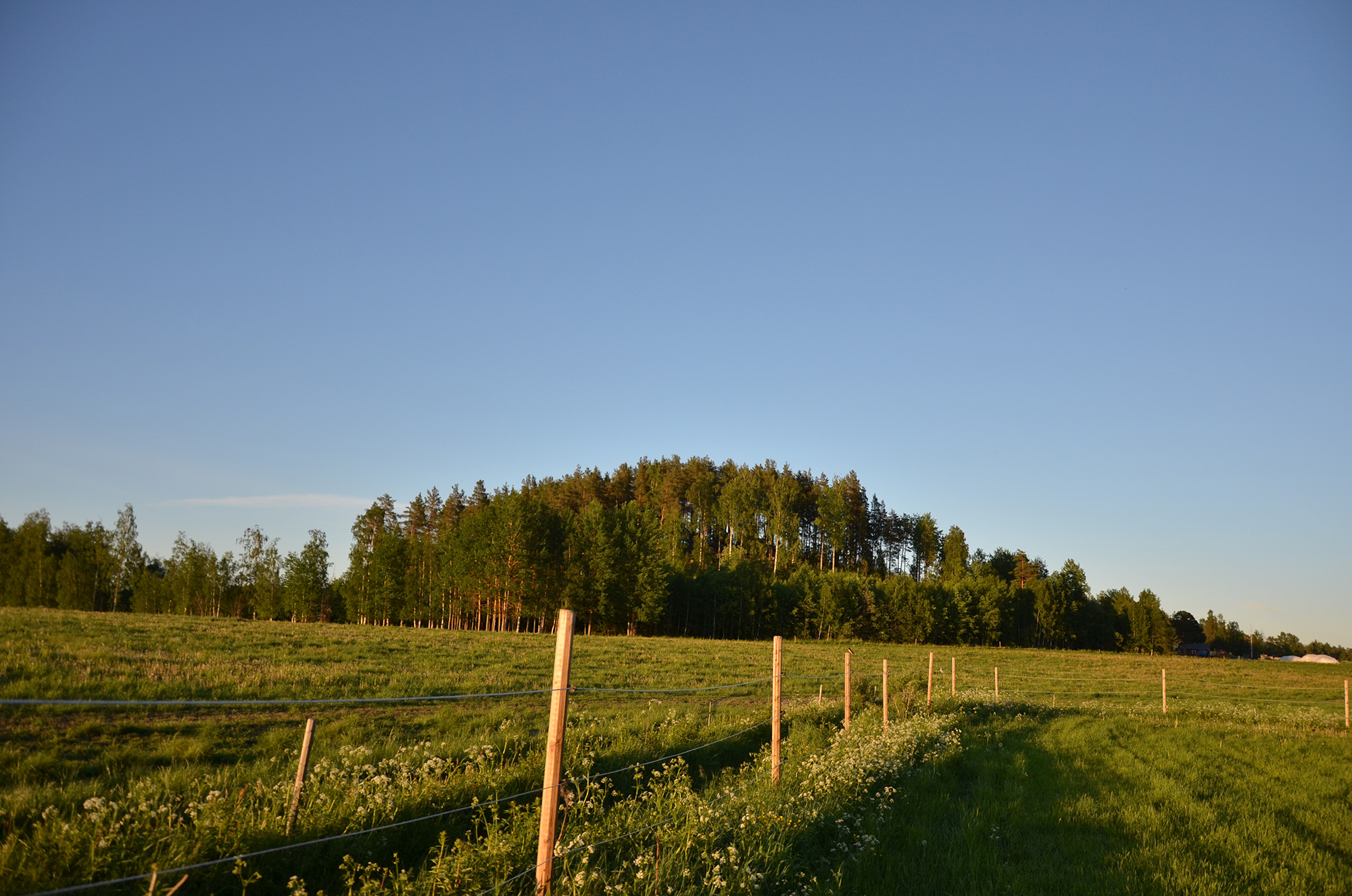 Röste.nu – Bygdens Nytt nr 3 2018 – Småsaker med Pär Nordqvist – Här är den sköna sommar