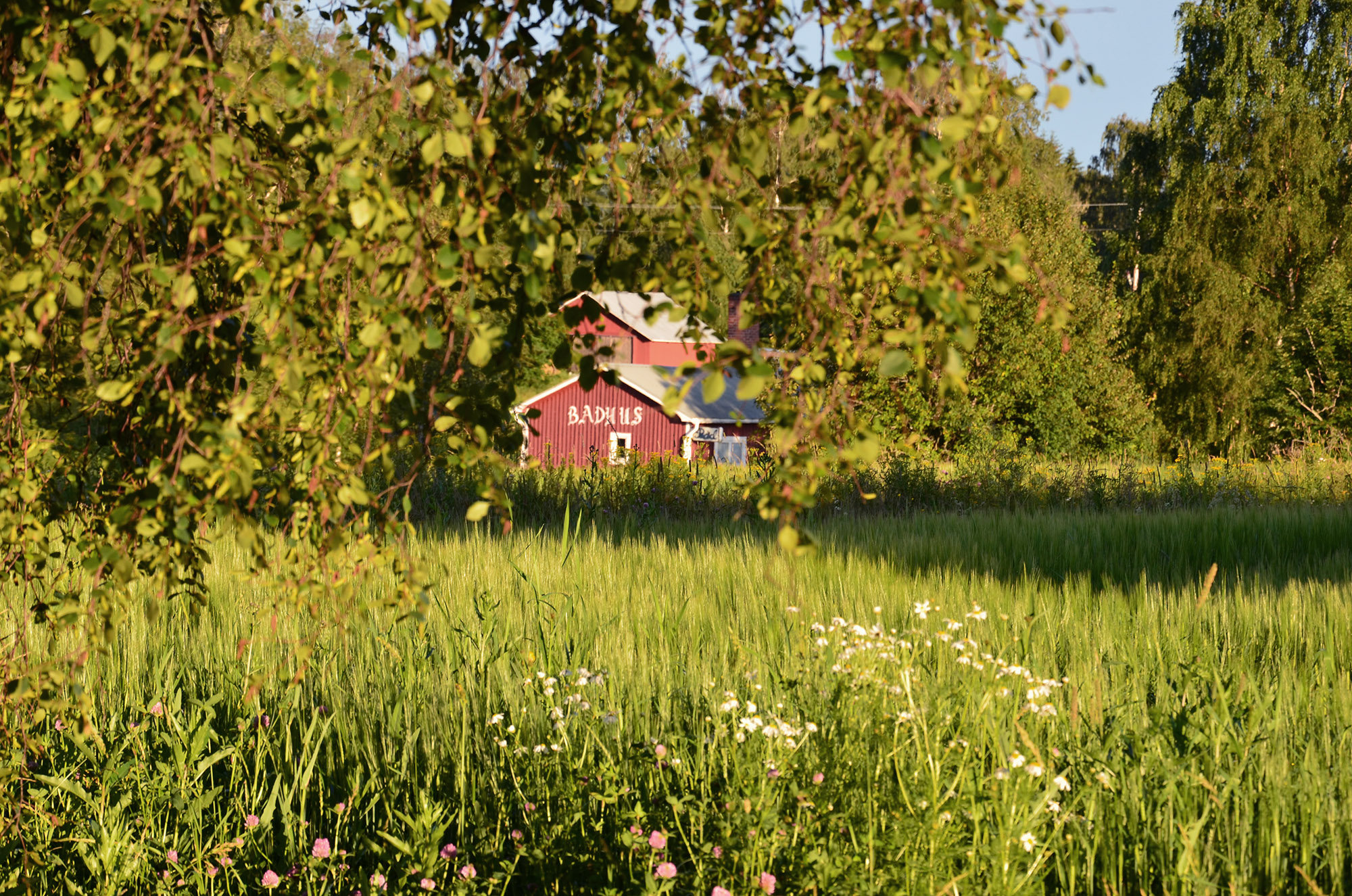 Röste.nu – Bygdens Nytt nr 4 2012 – Småsaker med Pär Nordqvist – Tidig sommarmorgon mitt i Röste