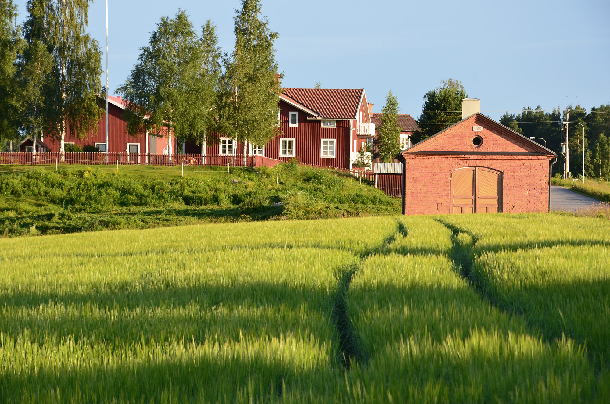 Röste.nu – Bygdens Nytt nr 4 2012 – Småsaker med Pär Nordqvist – Tidig sommarmorgon mitt i Röste