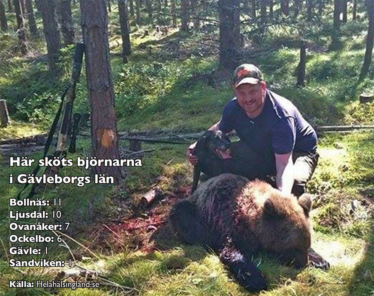Röste.nu – Bygdens Nytt nr 4 2015 – Nyheter – Arnes stora jaktlycka