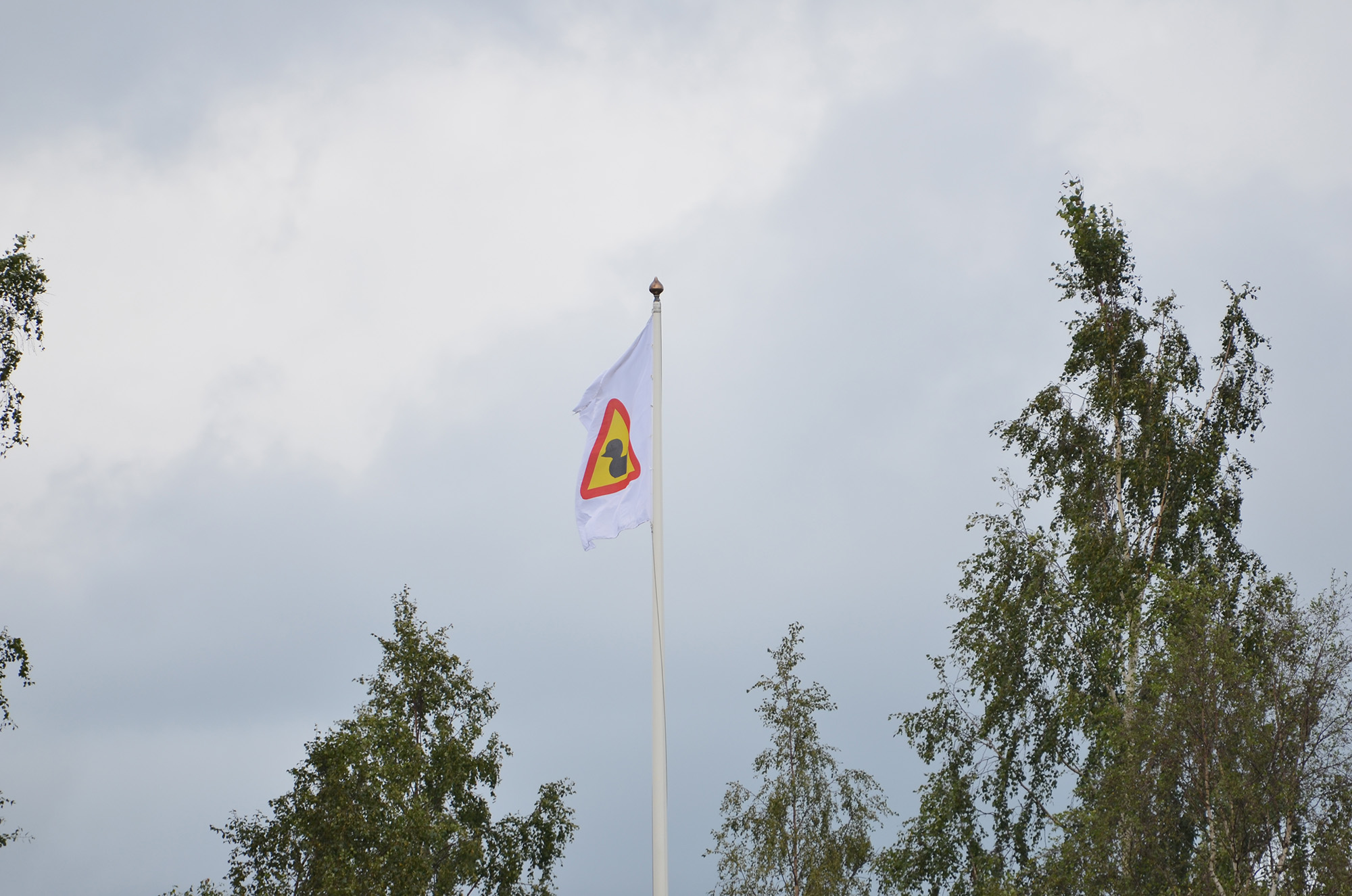 Röste.nu – Bygdens Nytt nr 4 2019 – Nyheter – Det blev tjejernas år i ankracet