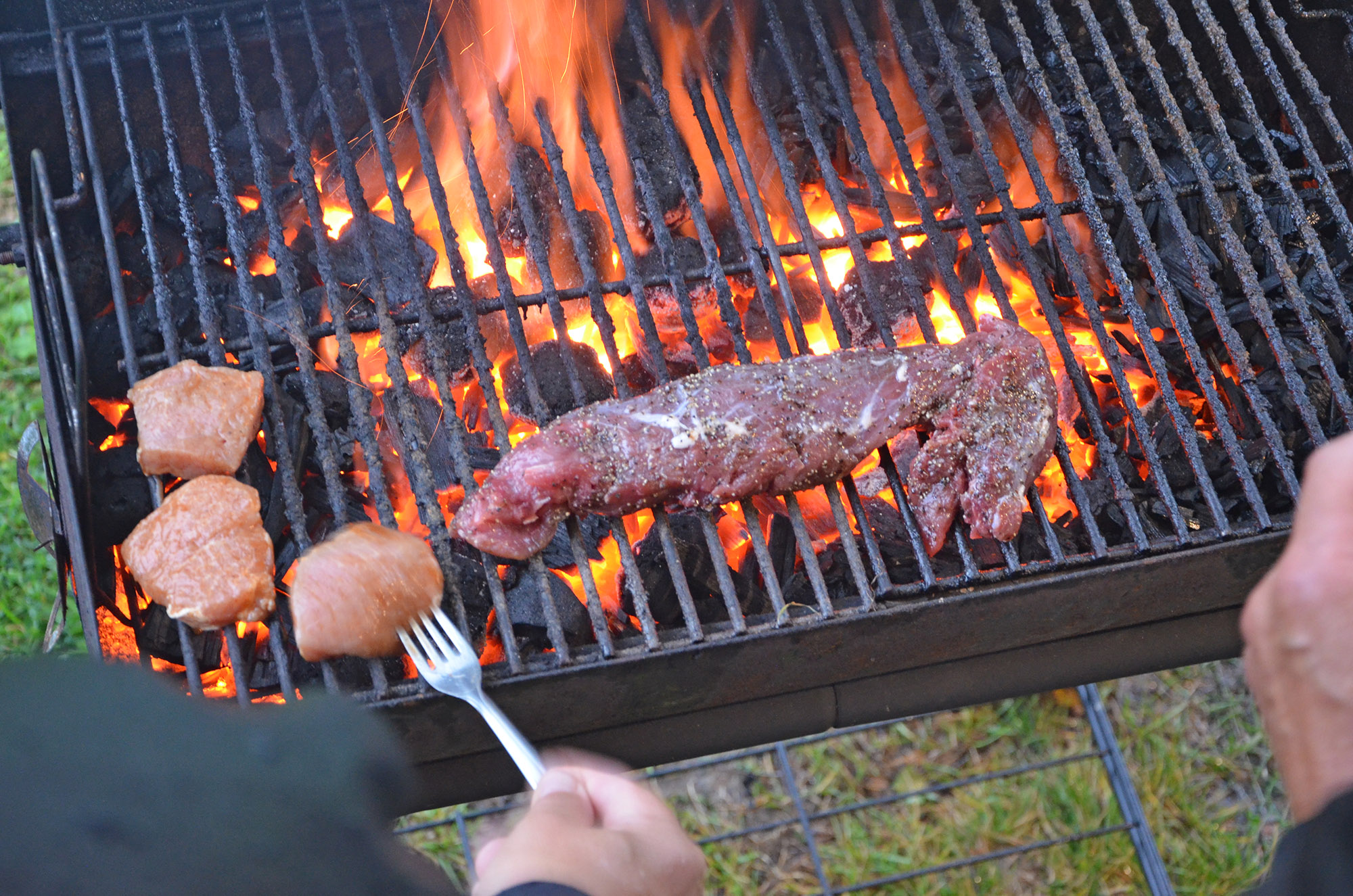 Röste.nu – Bygdens Nytt nr 4 2019 – Nyheter – Grill- och familjefest på Dönjegården