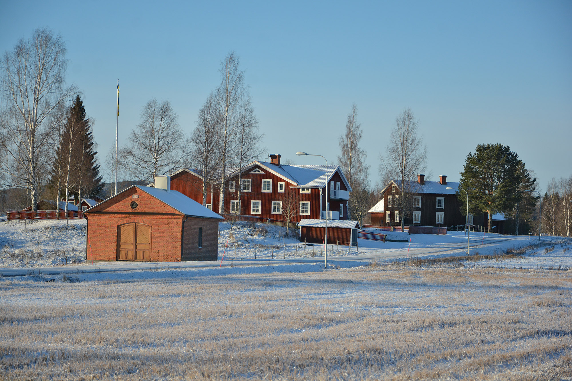 Röste.nu – Bygdens Nytt nr 4 2025 – Småsaker med Pär Nordqvist – Höstfärger och fåglar som flyr
