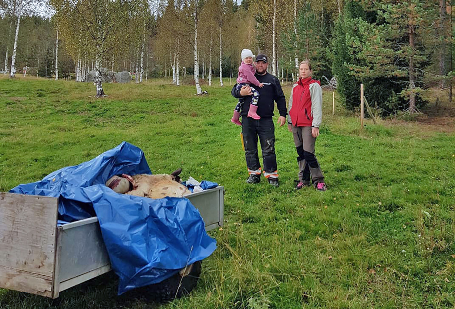 Röste.nu – Bygdens Nytt nr 5 2019 – Nyheter – Otäck vargattack i Röste