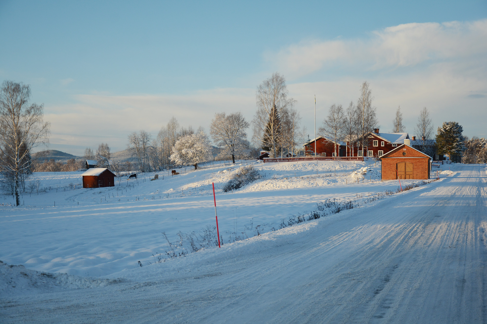 Röste.nu – Åsbackavägen i vinterskrud 2024