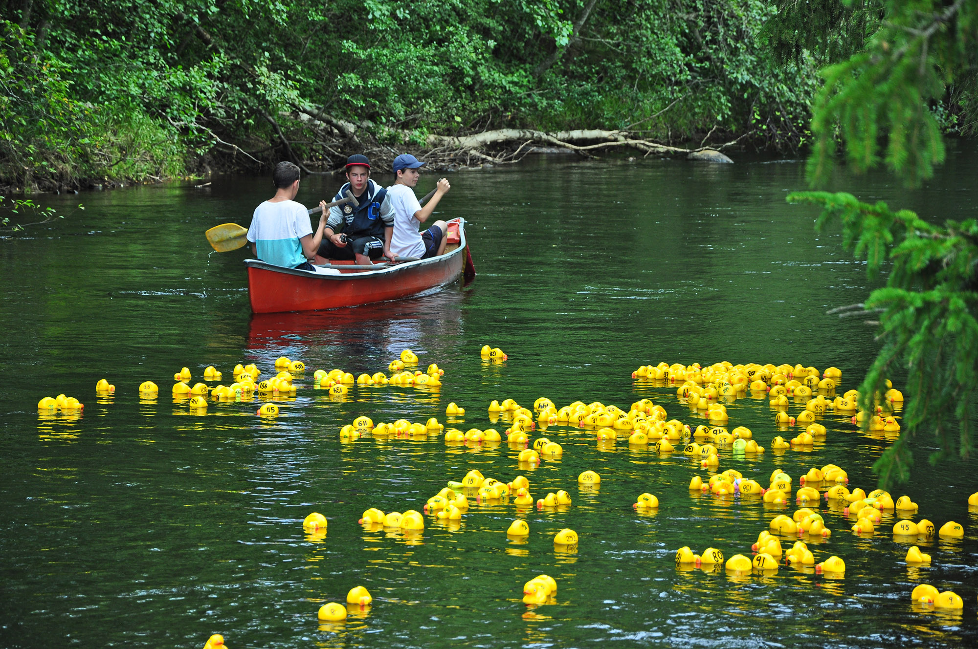 Röste.nu – Slutsålt inför lördagens ankrace