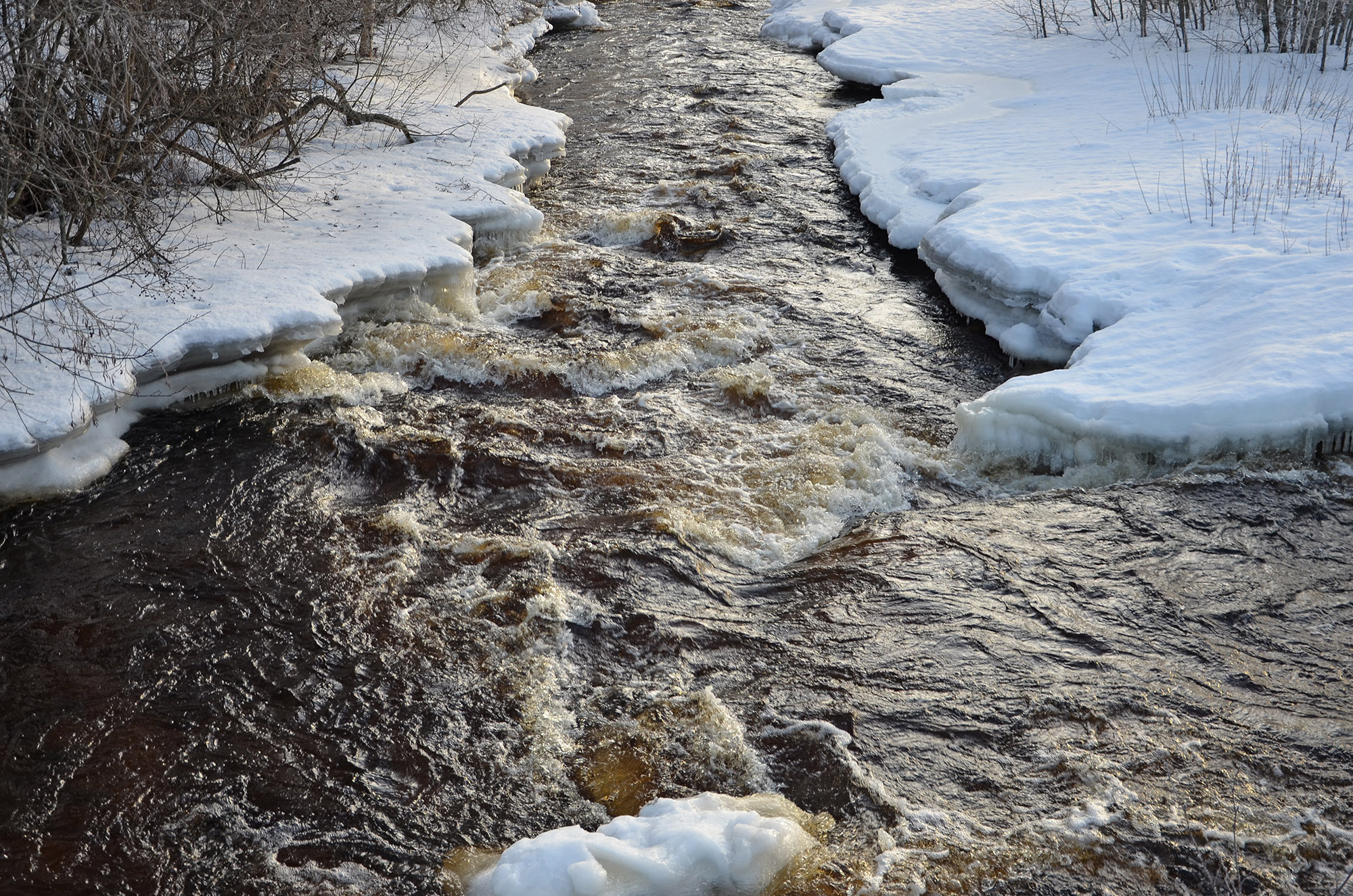 Röste.nu – Galvån i vinterskrud 2023