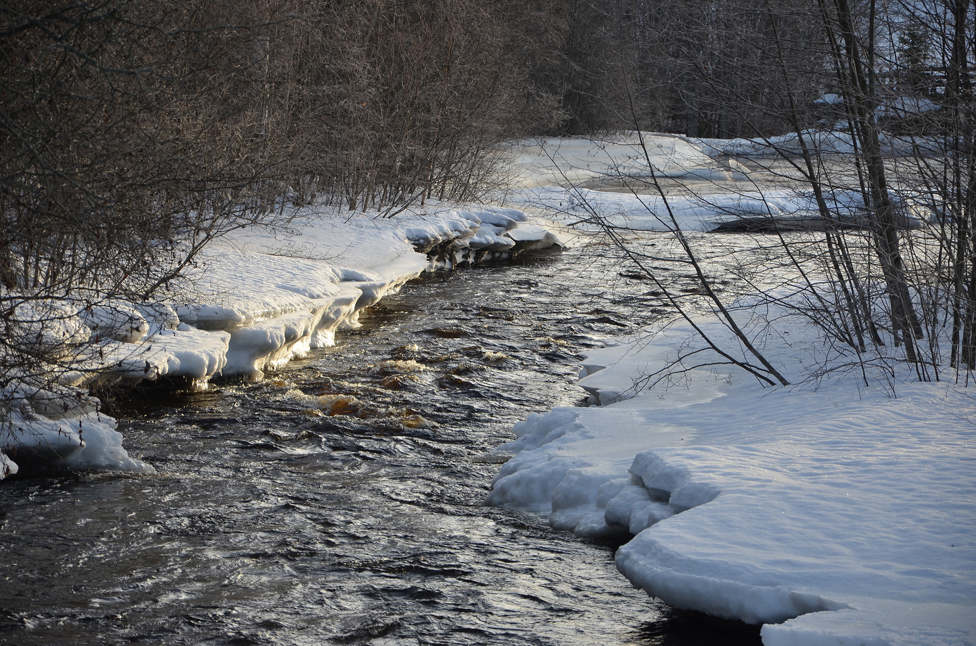 Röste.nu – Galvån i vinterskrud 2023