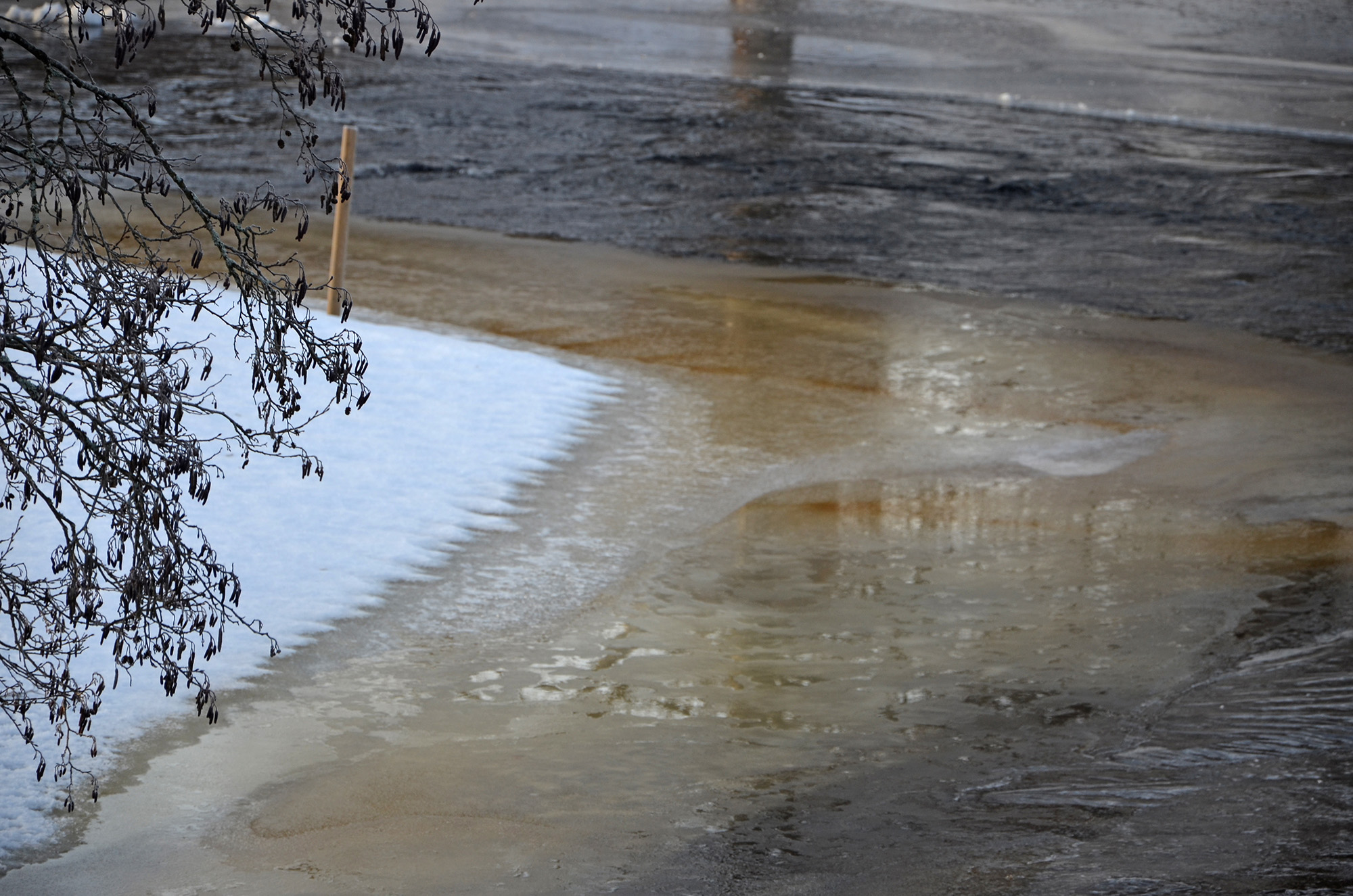 Röste.nu – Galvån i vinterskrud 2023