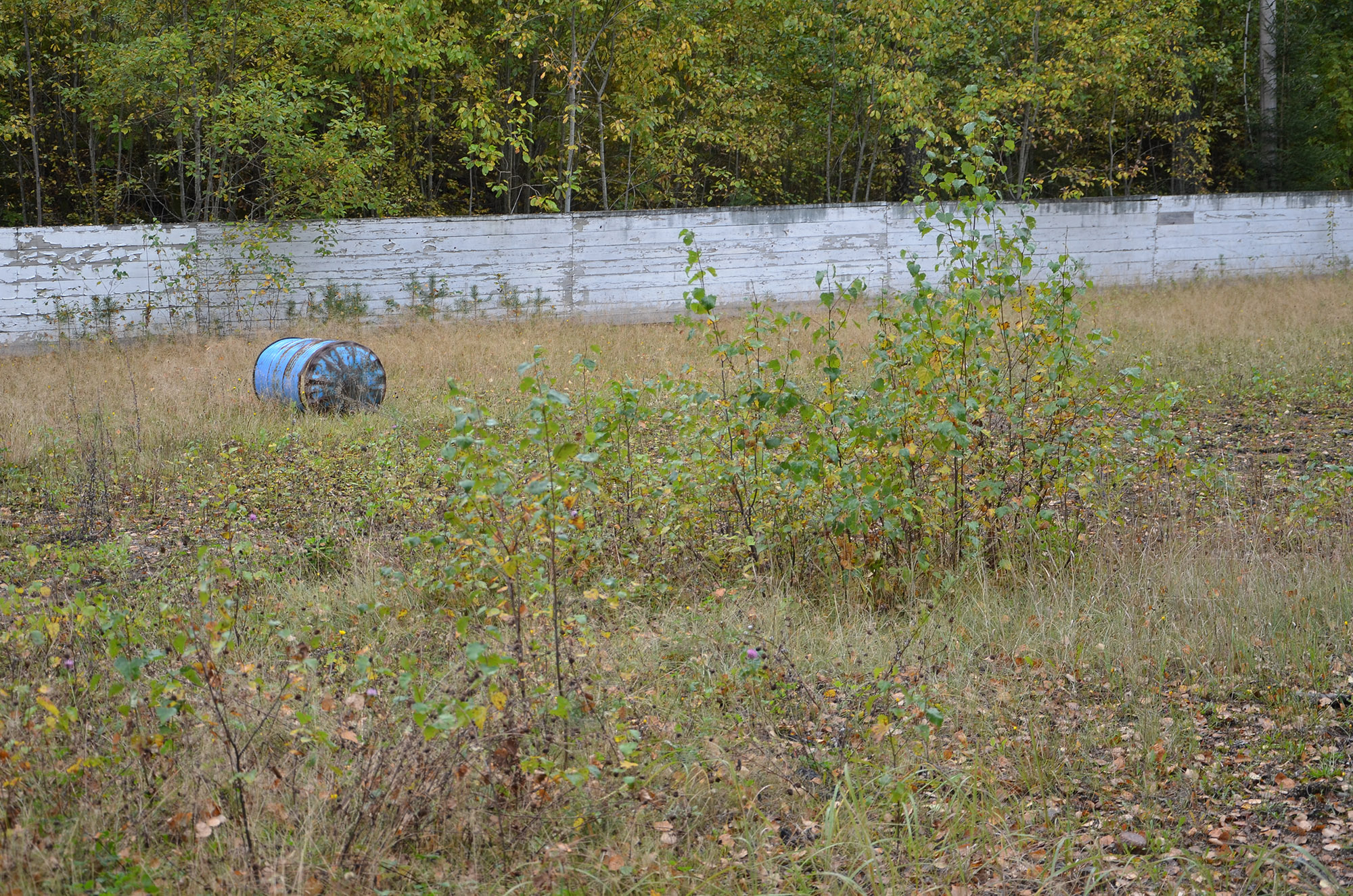 Röste.nu –  Isbanan vid Dönjegården väcks till liv 2021