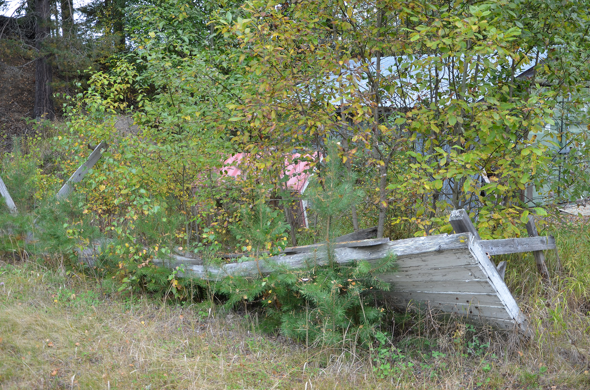 Röste.nu – Isbanan vid Dönjegården väcks till liv 2021