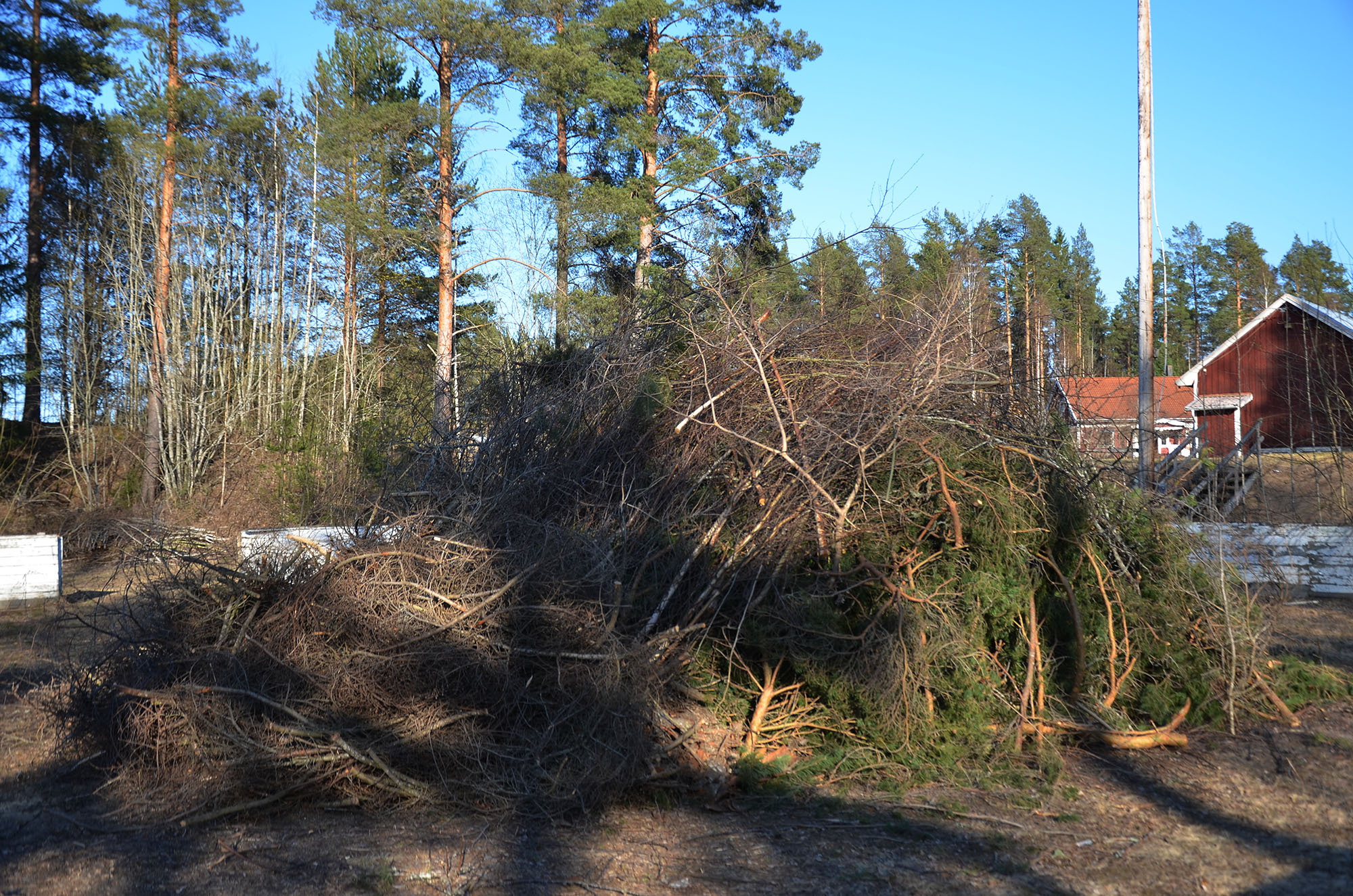 Röste.nu – Stopp för mer ris på isbanan 2026