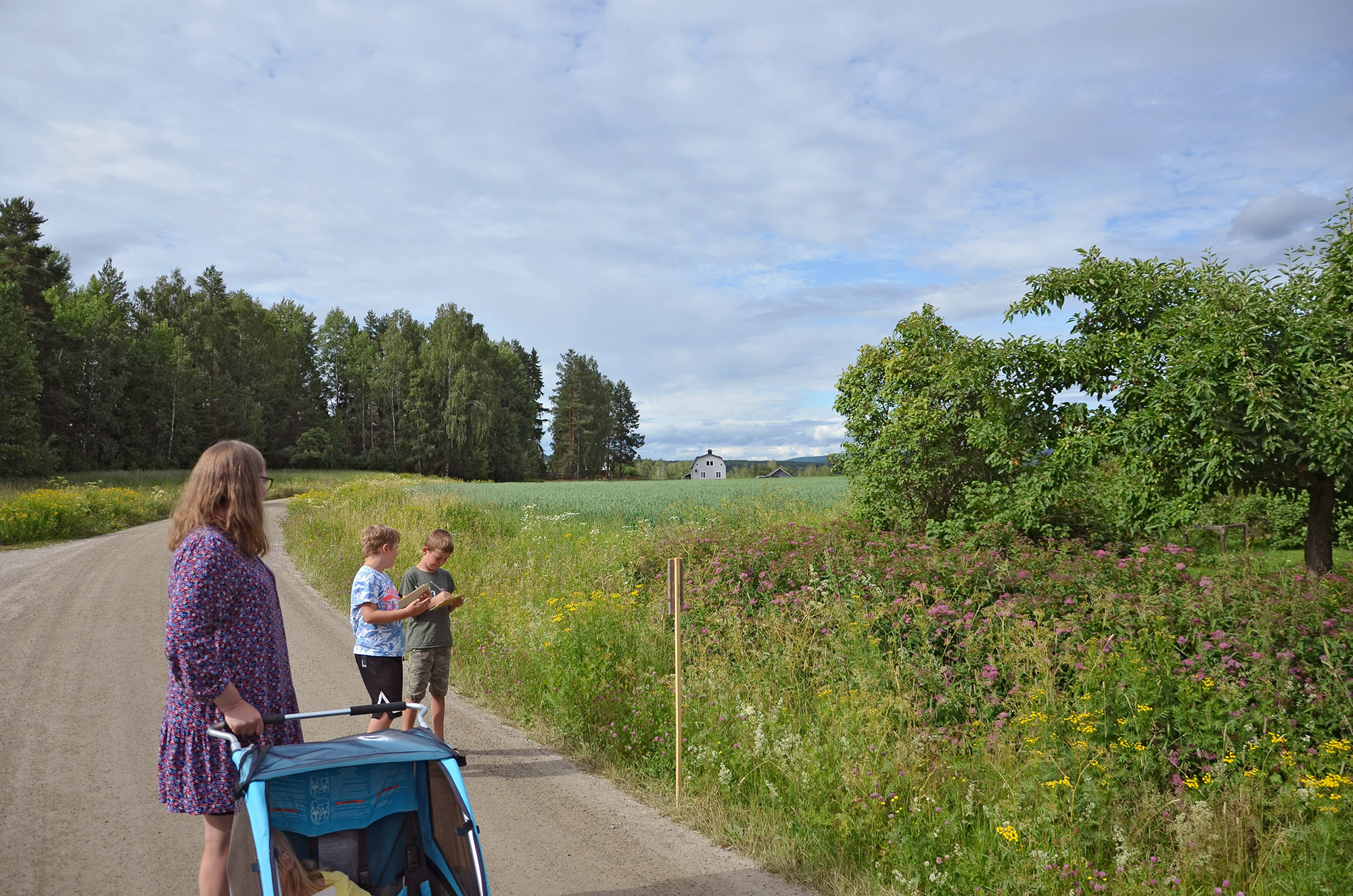 Röste.nu – Ny motionsbingosäsong i Röste