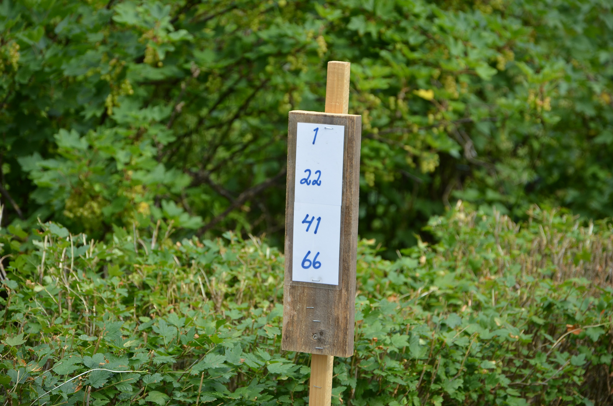 Röste.nu – Ny motionsbingosäsong i Röste