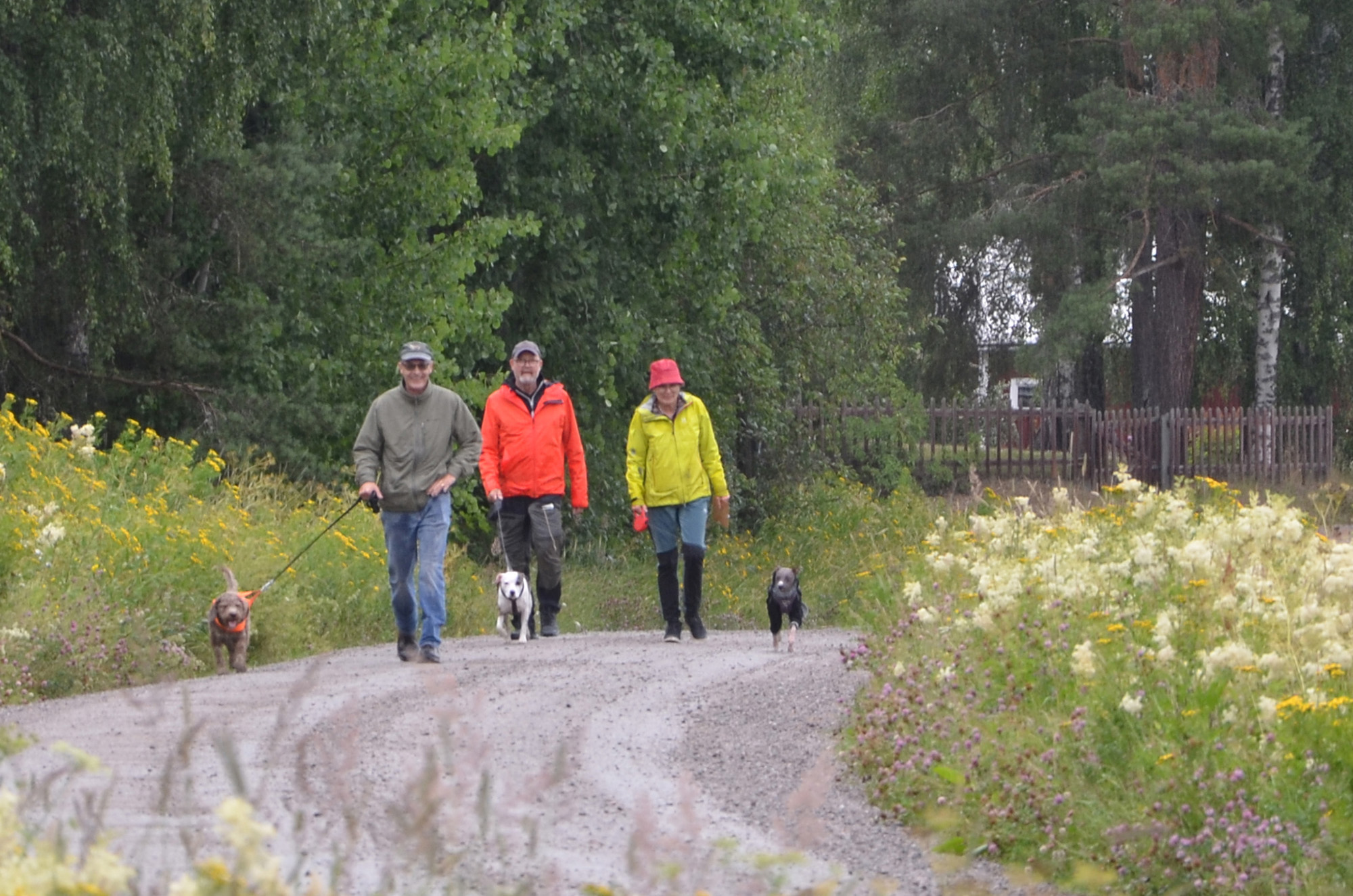 Röste.nu – Bildextra från motionsbingon i Röste juli 2024