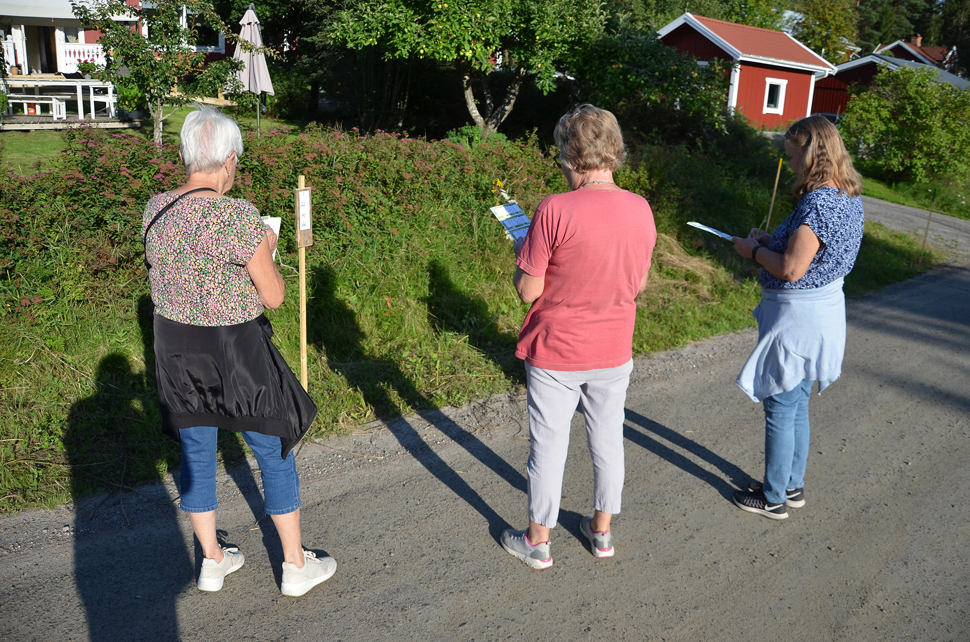 Röste.nu – Bildextra från motionsbingon i Röste juli 2024