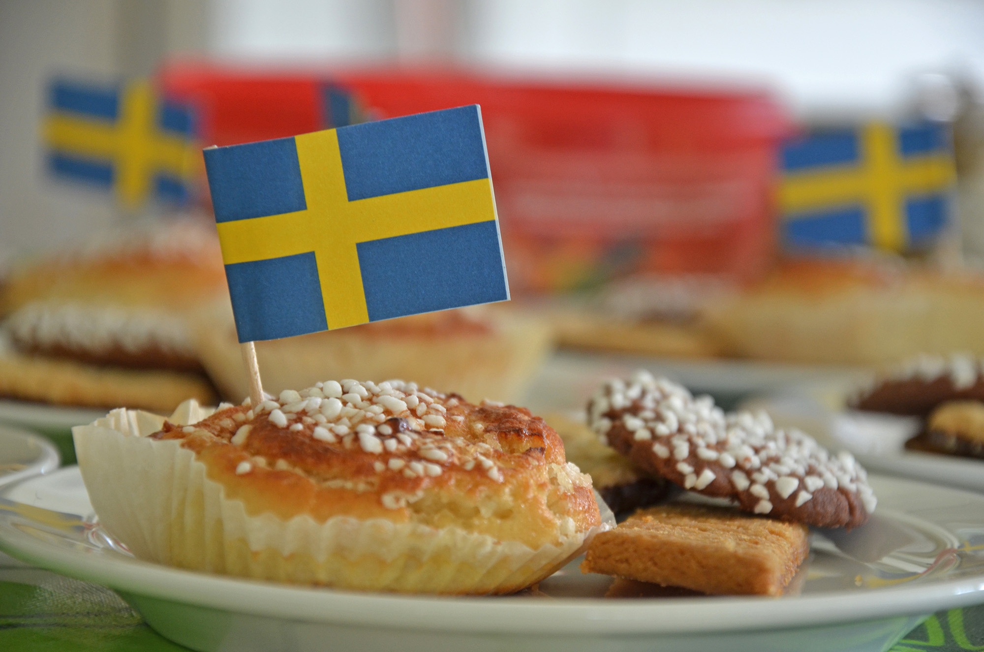 Röste.nu – Nationaldagsfirande 2023 – Sverige firas vid Dönjegården