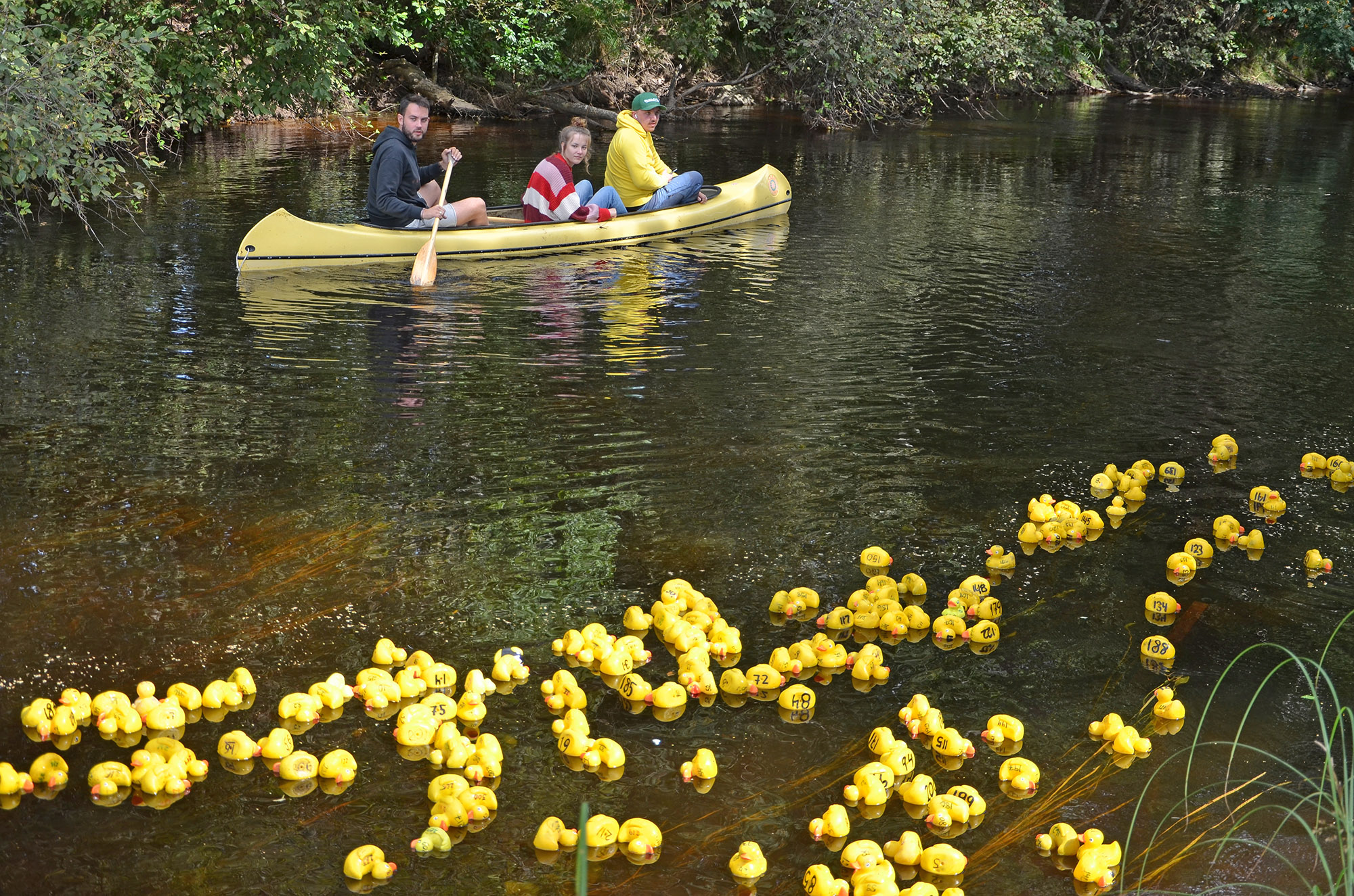 Röste.nu – Nyheter – Ny tjejtrio vann det 15:e ankracet 2021