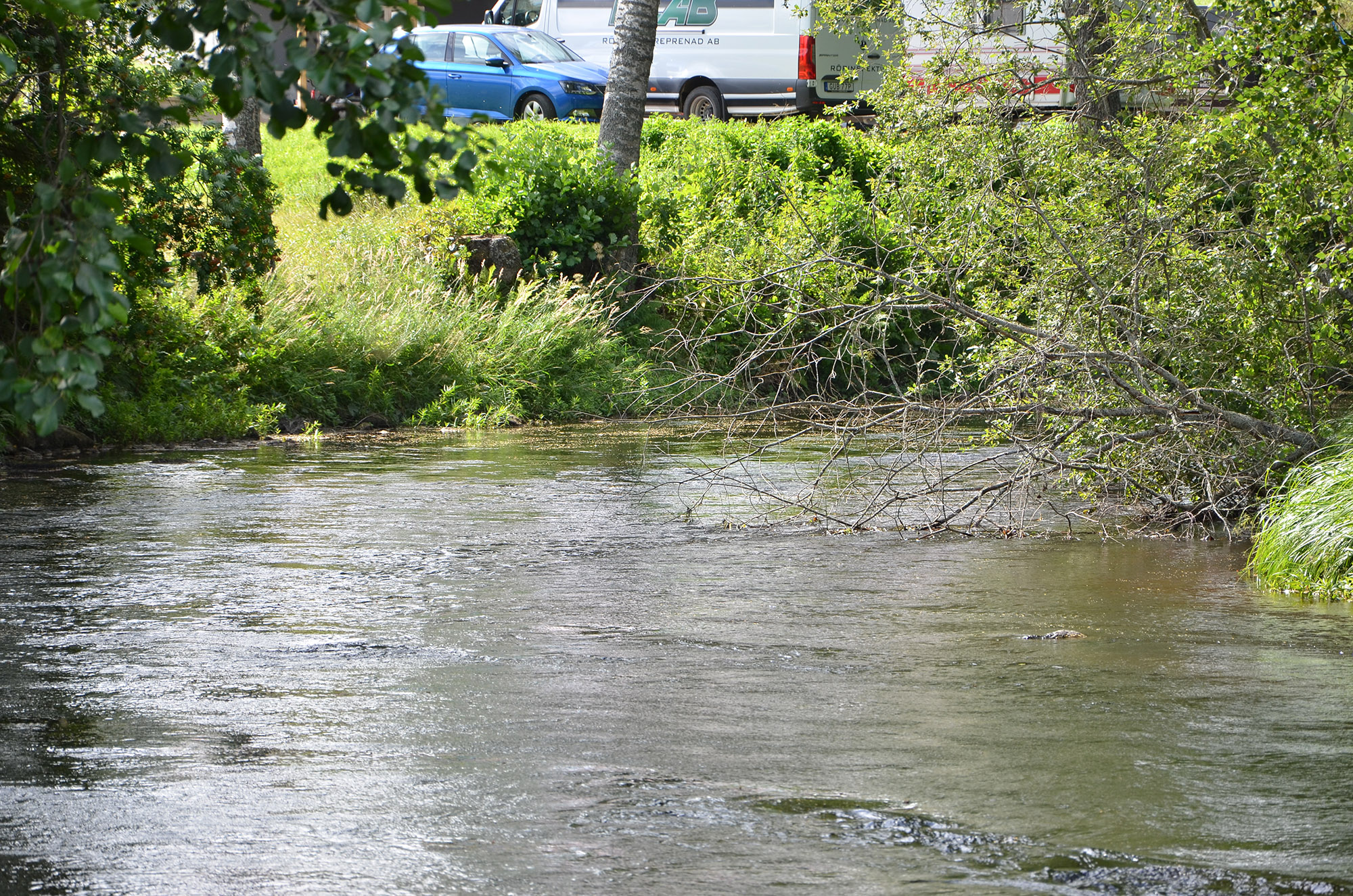 Röste.nu – Nyheter – Ny tjejtrio vann det 15:e ankracet 2021