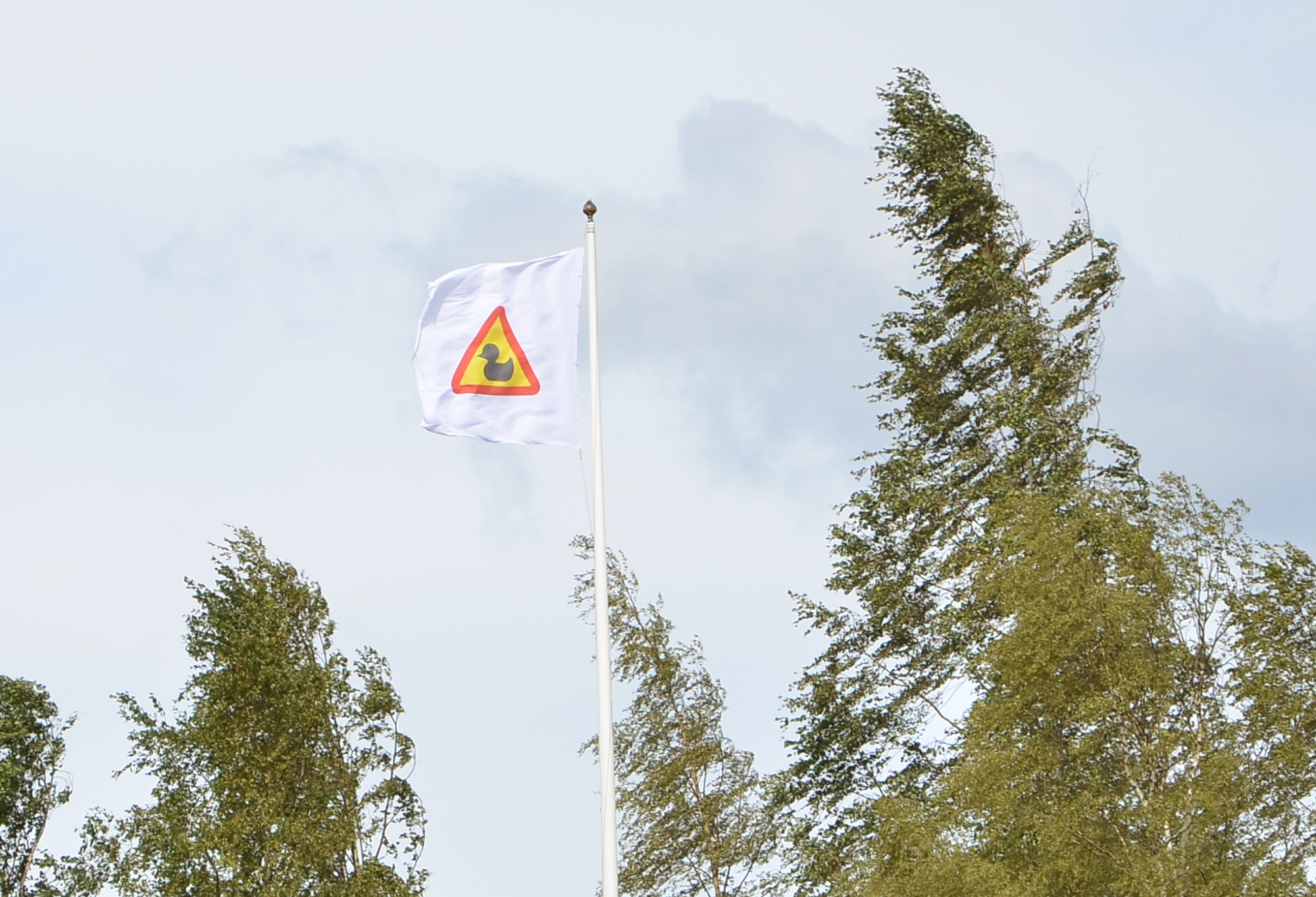 Röste.nu – Nyheter – Ny tjejtrio vann det 15:e ankracet 2021