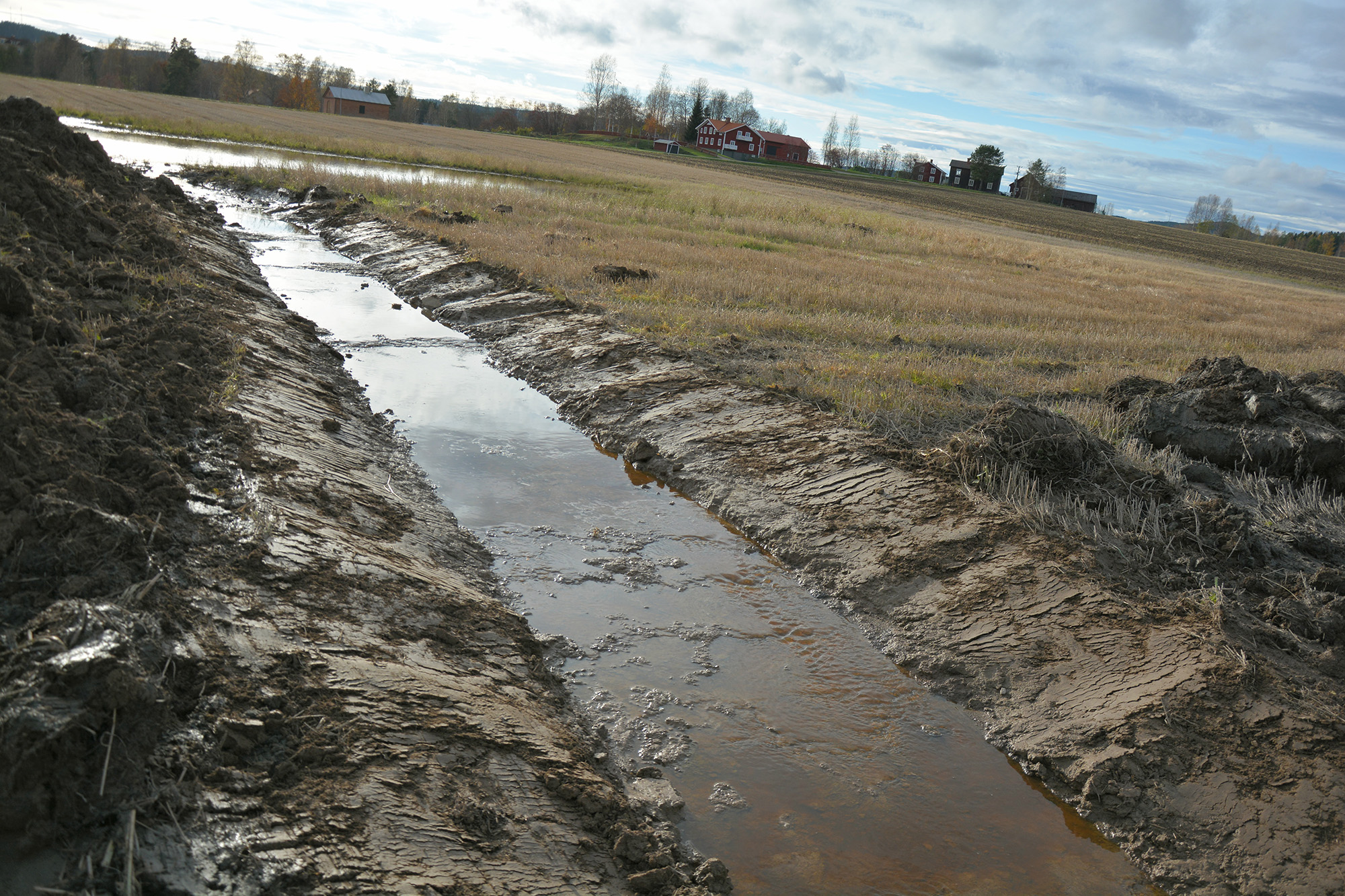 Röste.nu – Nyheter – ’’Fågelsjön’’ snart ett minne blott 2021