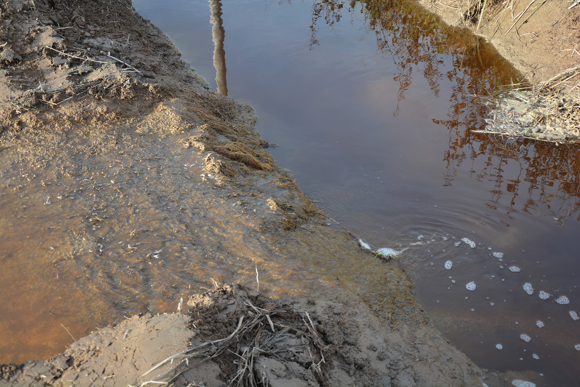 Röste.nu – Nyheter – ’’Fågelsjön’’ snart ett minne blott 2021