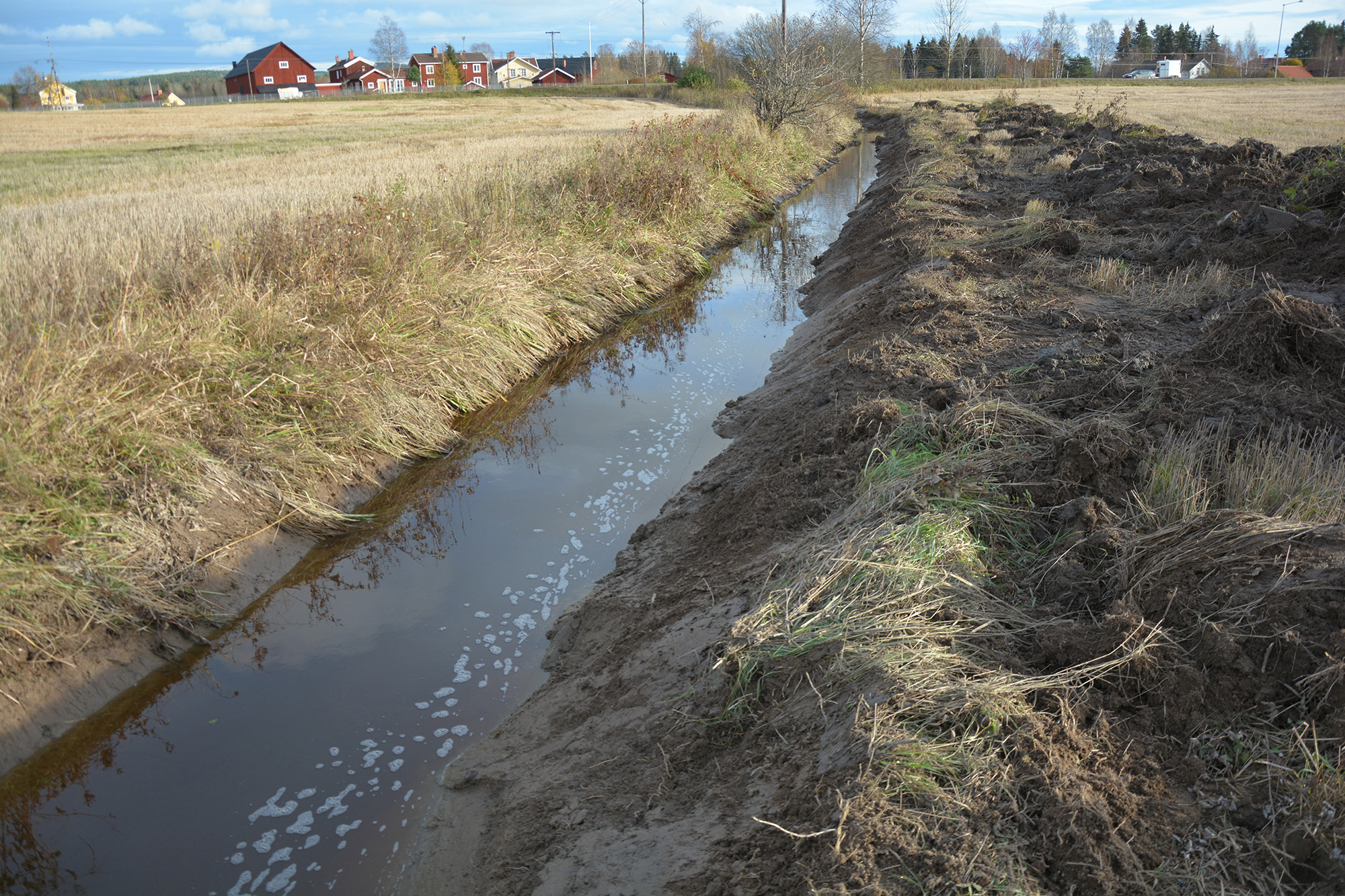 Röste.nu – Nyheter – ’’Fågelsjön’’ snart ett minne blott 2021