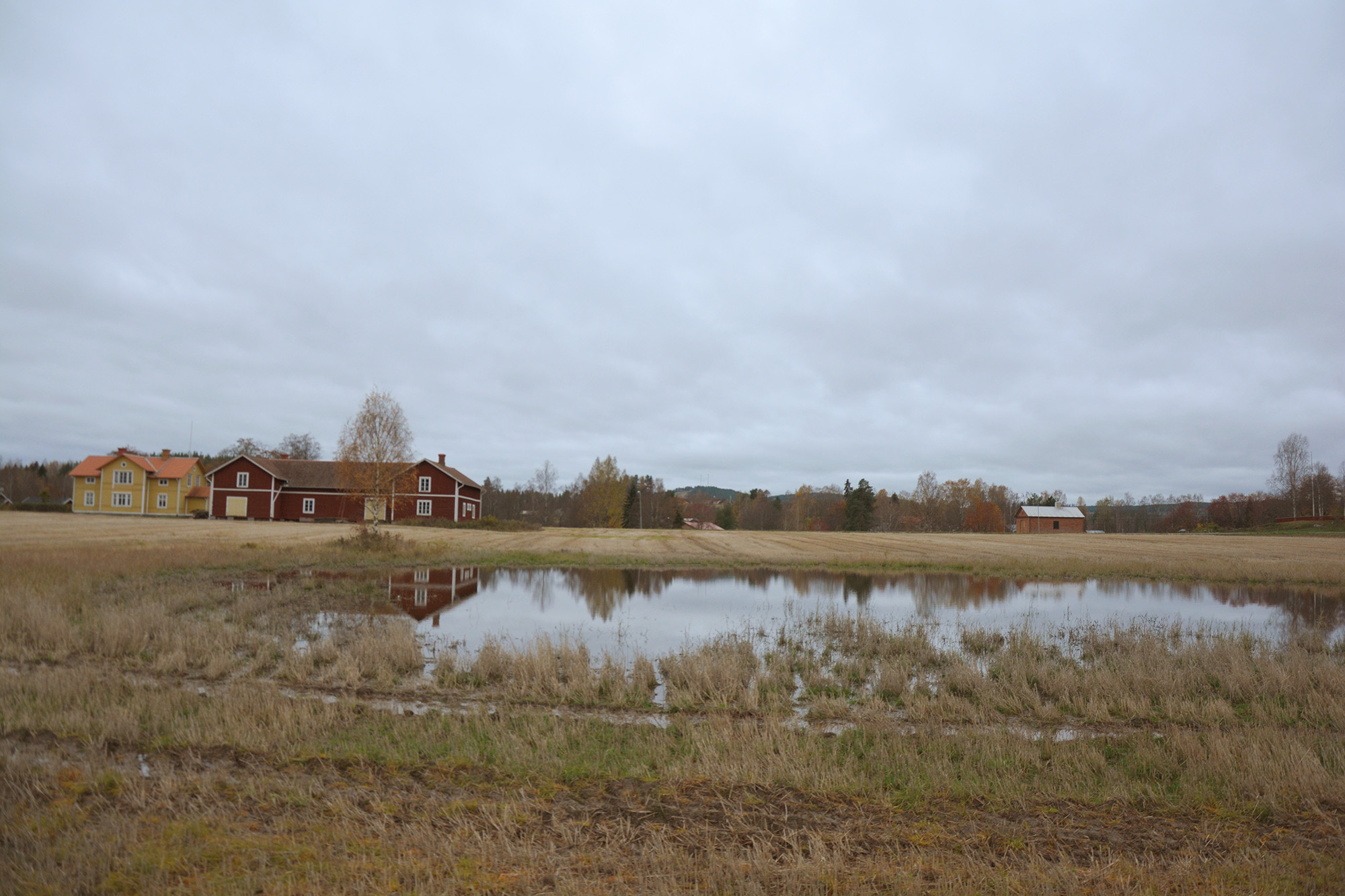 Röste.nu – Nyheter – ’’Fågelsjön’’ snart ett minne blott 2021