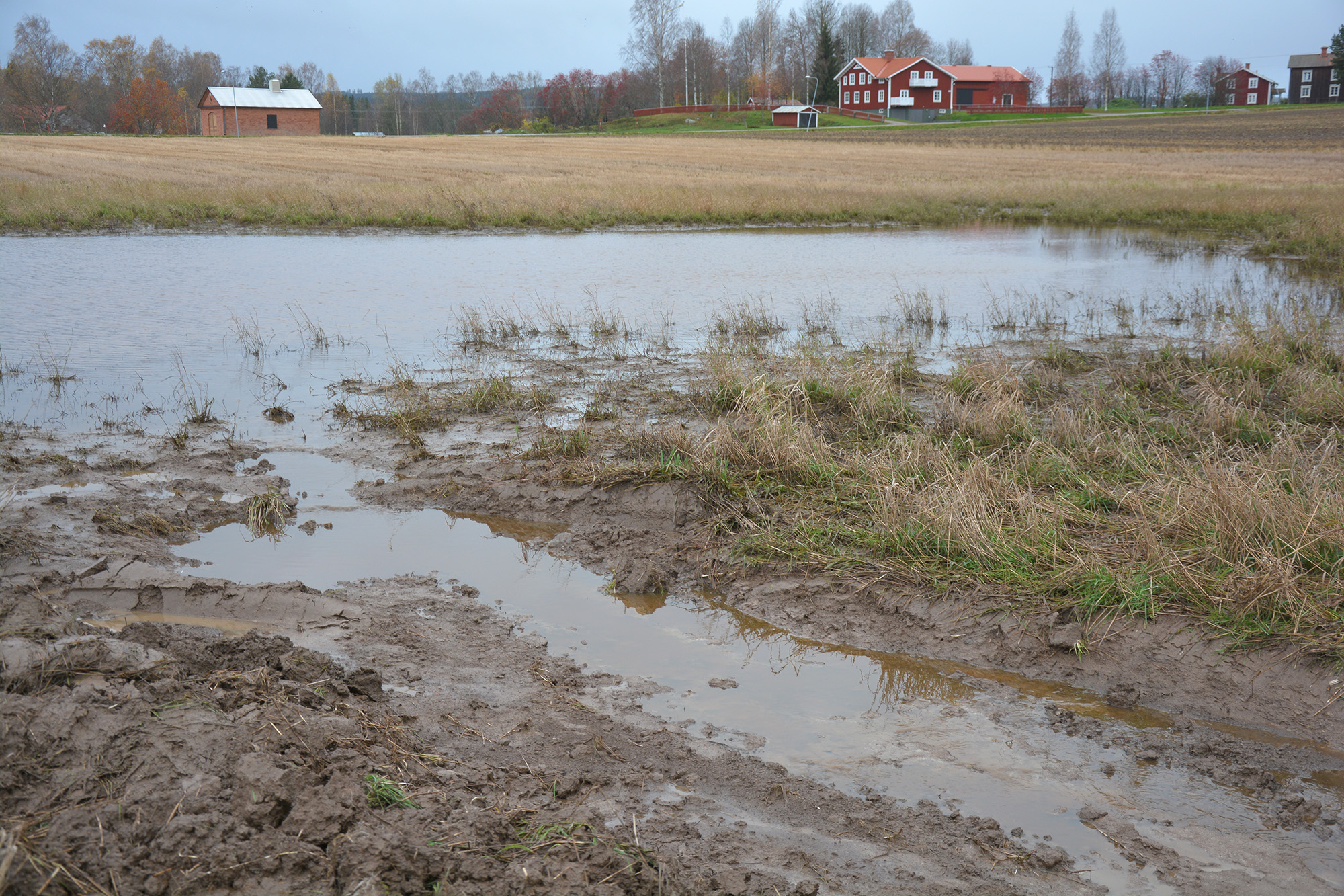 Röste.nu – Nyheter – ’’Fågelsjön’’ snart ett minne blott 2021