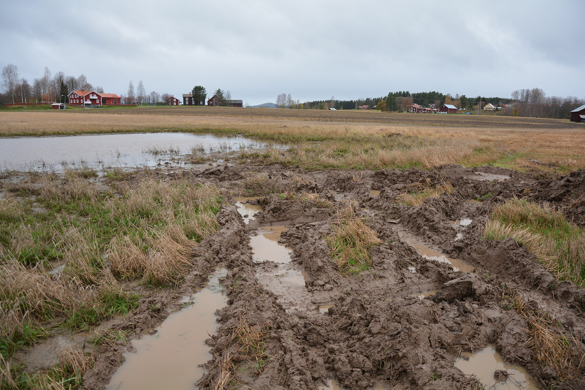 Röste.nu – Nyheter – ’’Fågelsjön’’ snart ett minne blott 2021