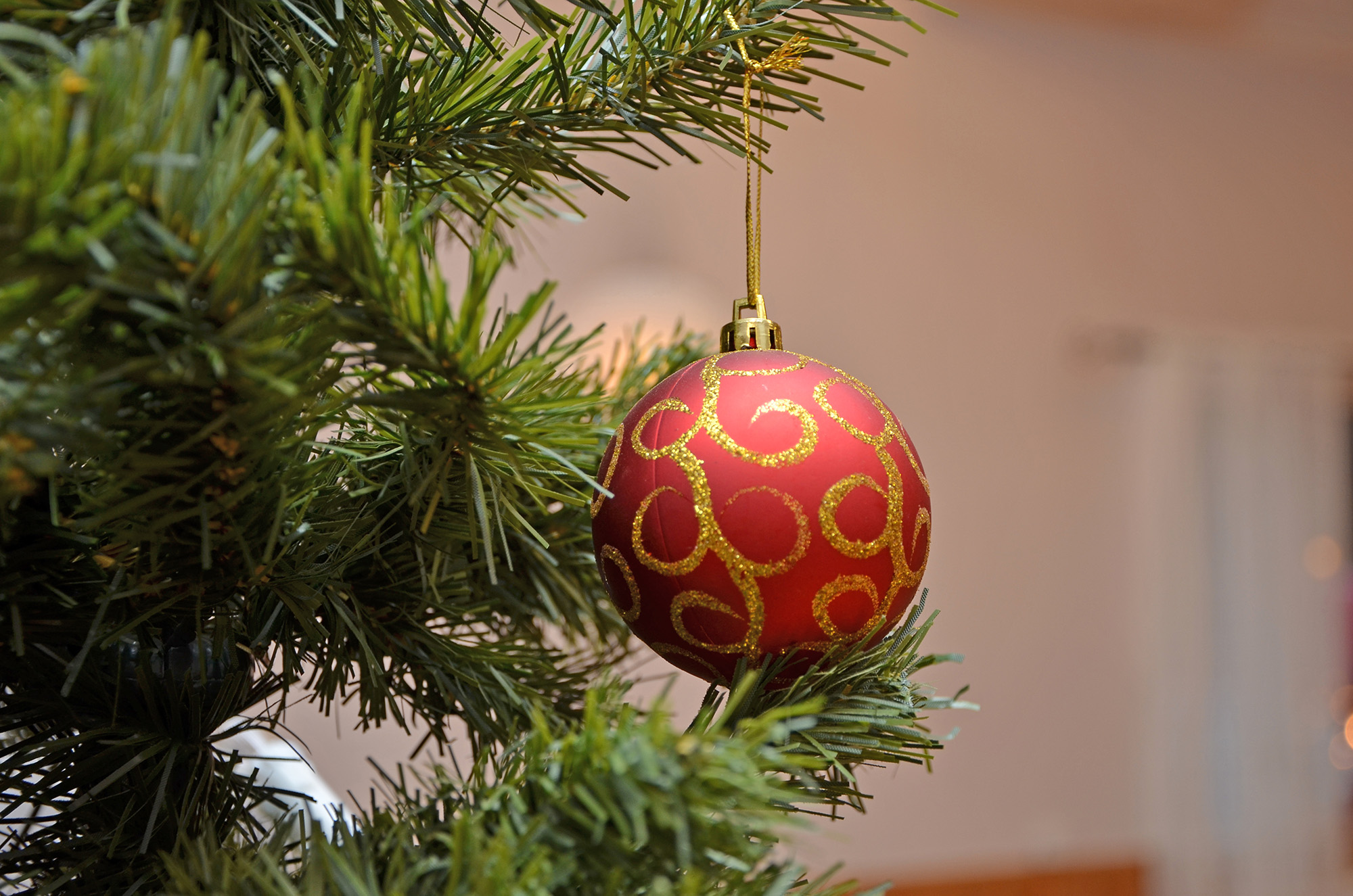 Röste.nu – Nyheter – Julen dansades ut i Dönjegården 2020