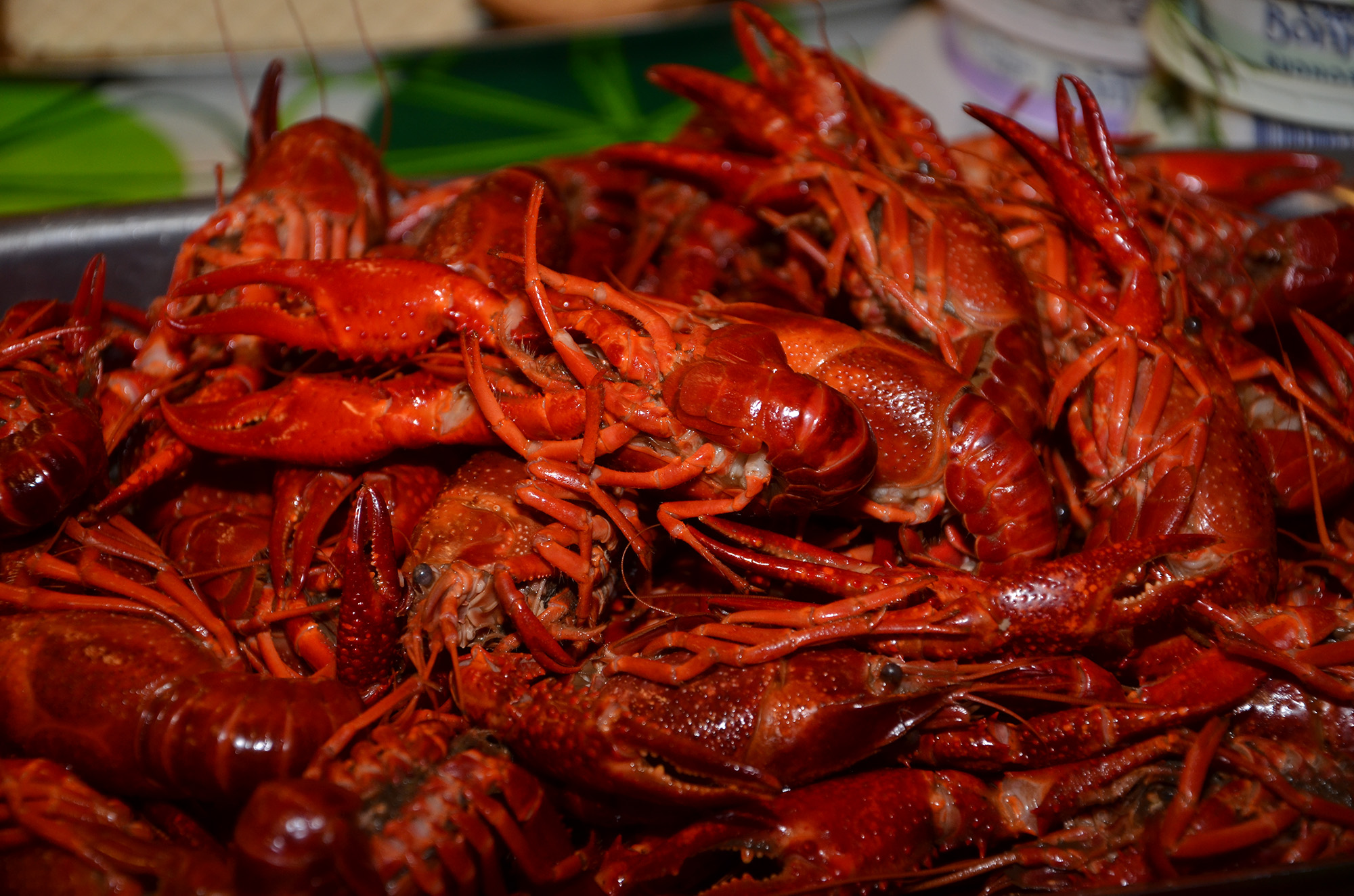 Röste.nu – Nyheter – Få nappade på surströmming och kräftor 2021