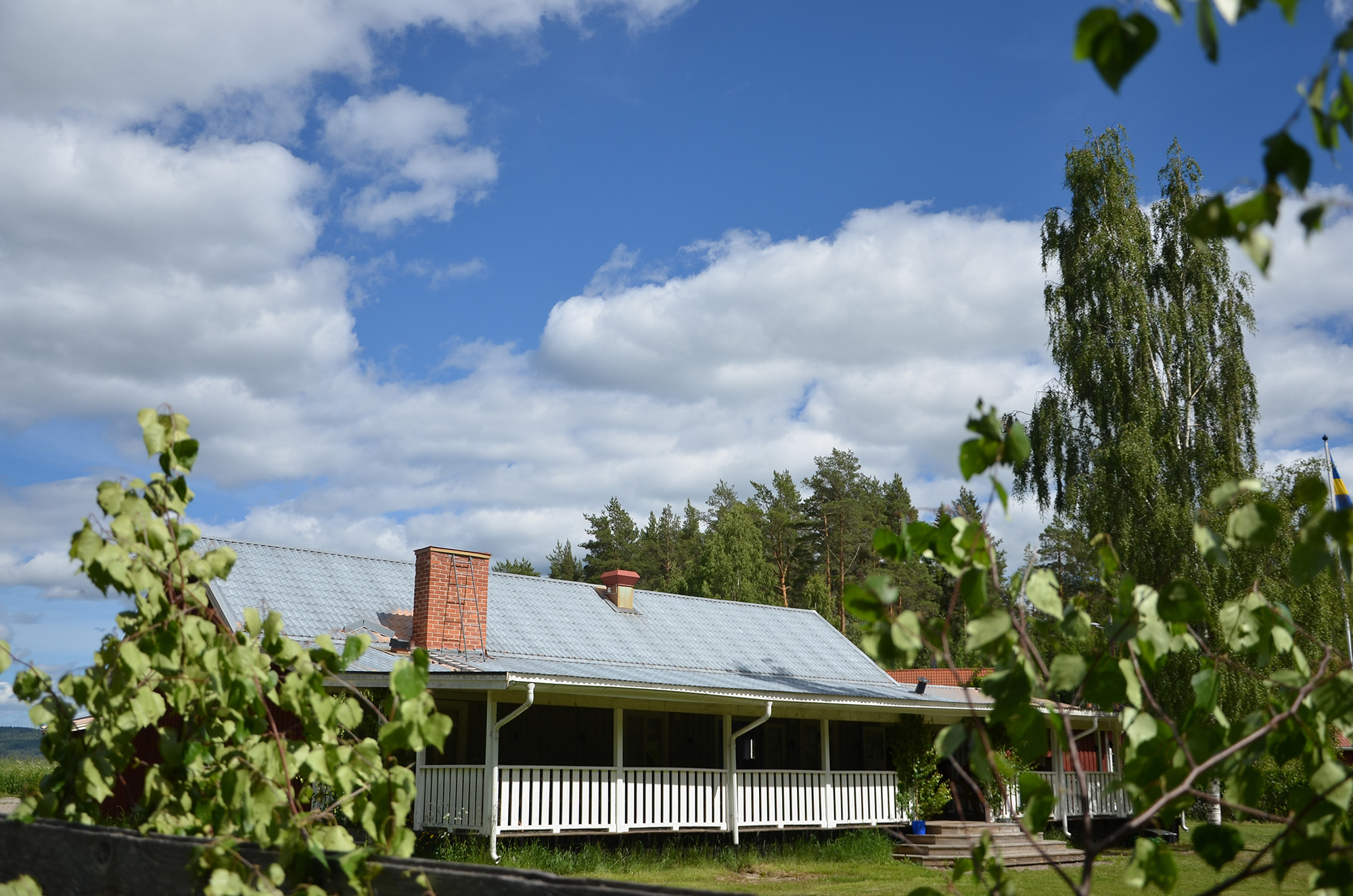Röste.nu – Nyheter – Alla var som i trans under byns midsommardans... 2024