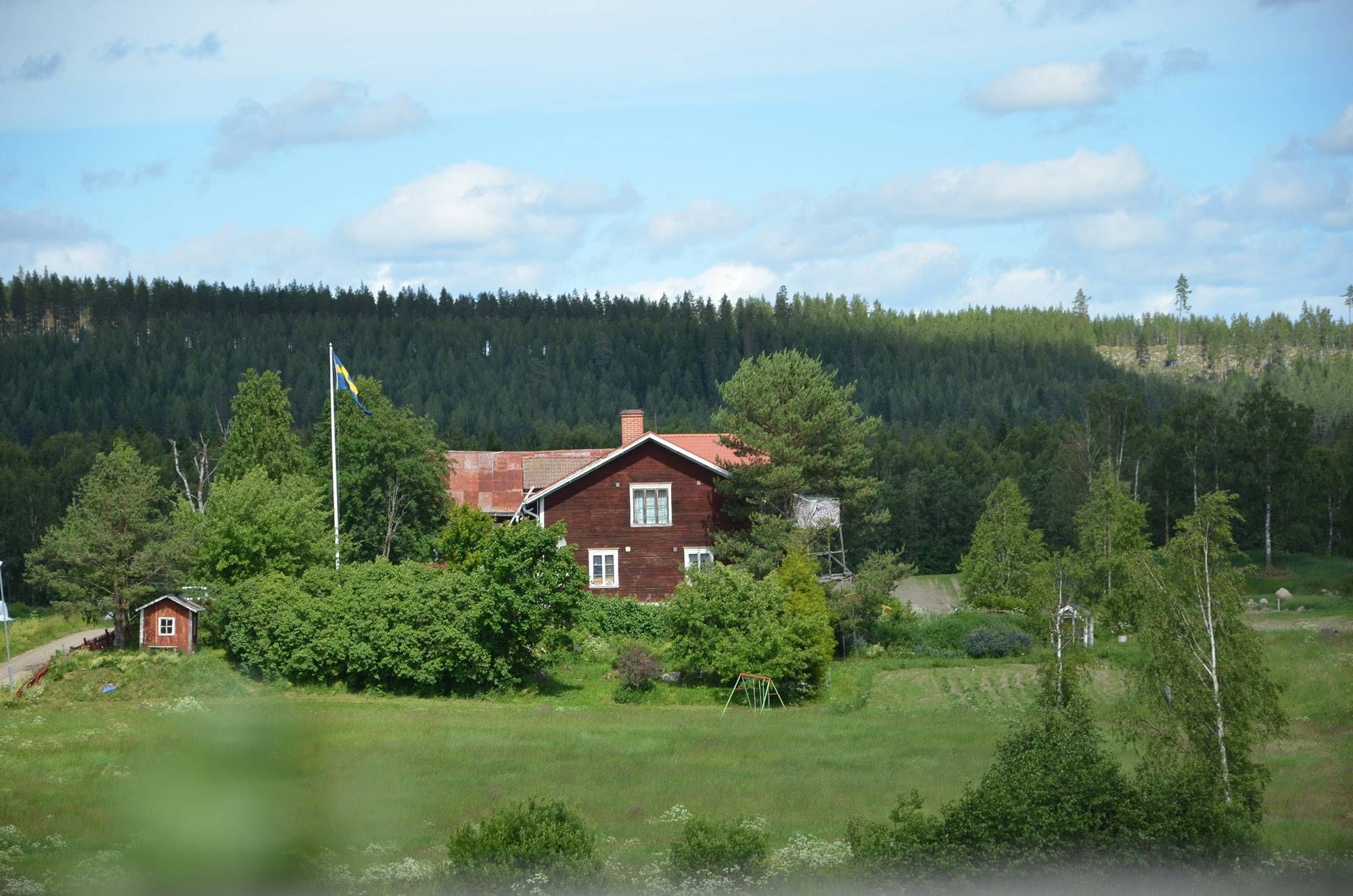 Röste.nu – Nyheter – Alla var som i trans under byns midsommardans... 2024