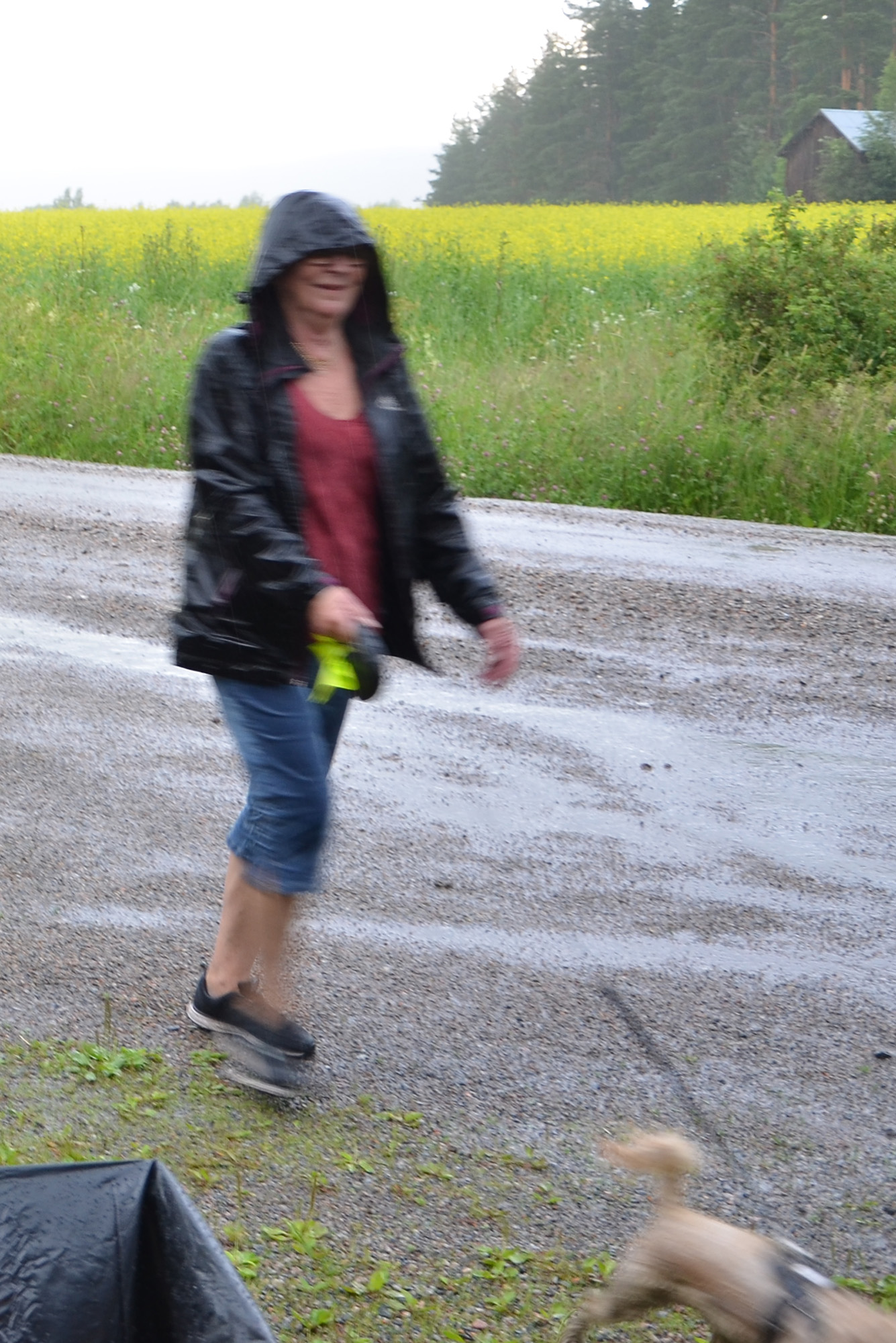 Röste.nu – Nyheter – Motionsbingon regnade bort – deltagarna fick skjuts halva sträckan 2021