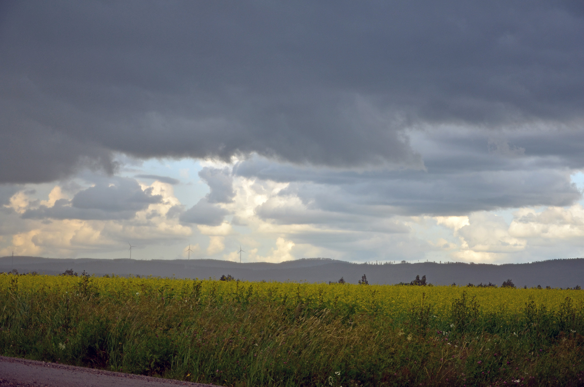 Röste.nu – Nyheter – Motionsbingon regnade bort – deltagarna fick skjuts halva sträckan 2021