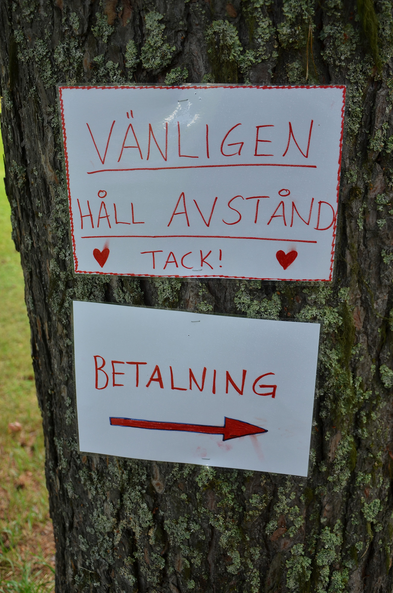 Röste.nu – Nyheter – Motionsbingon regnade bort – deltagarna fick skjuts halva sträckan 2021