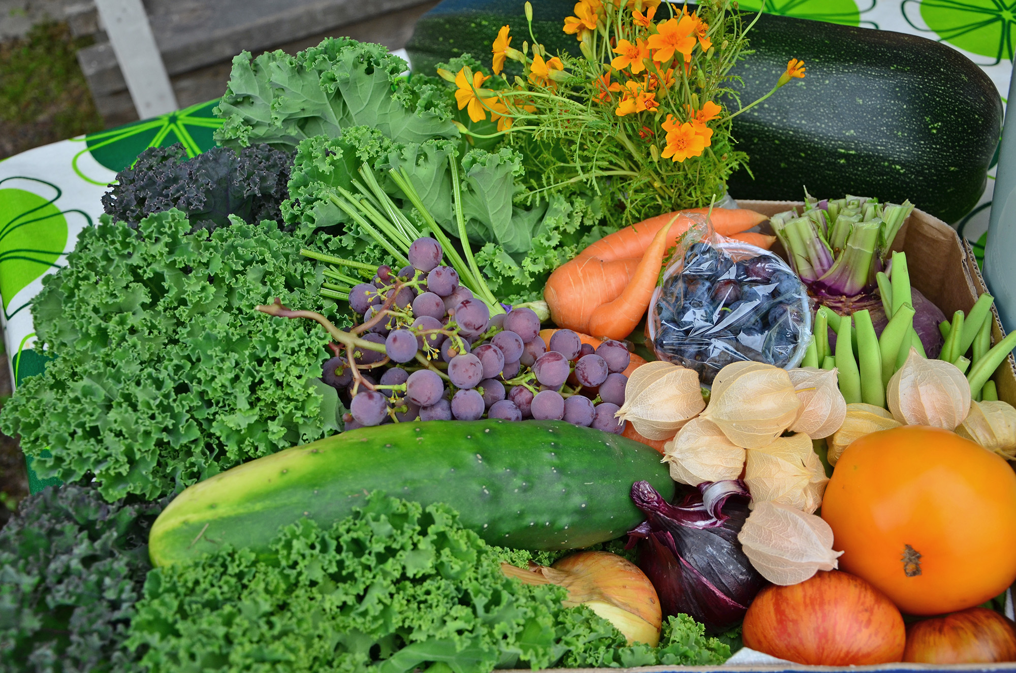 Röste.nu – Nyheter – Välbesökt motionsbingo undgick ruskväder 2021