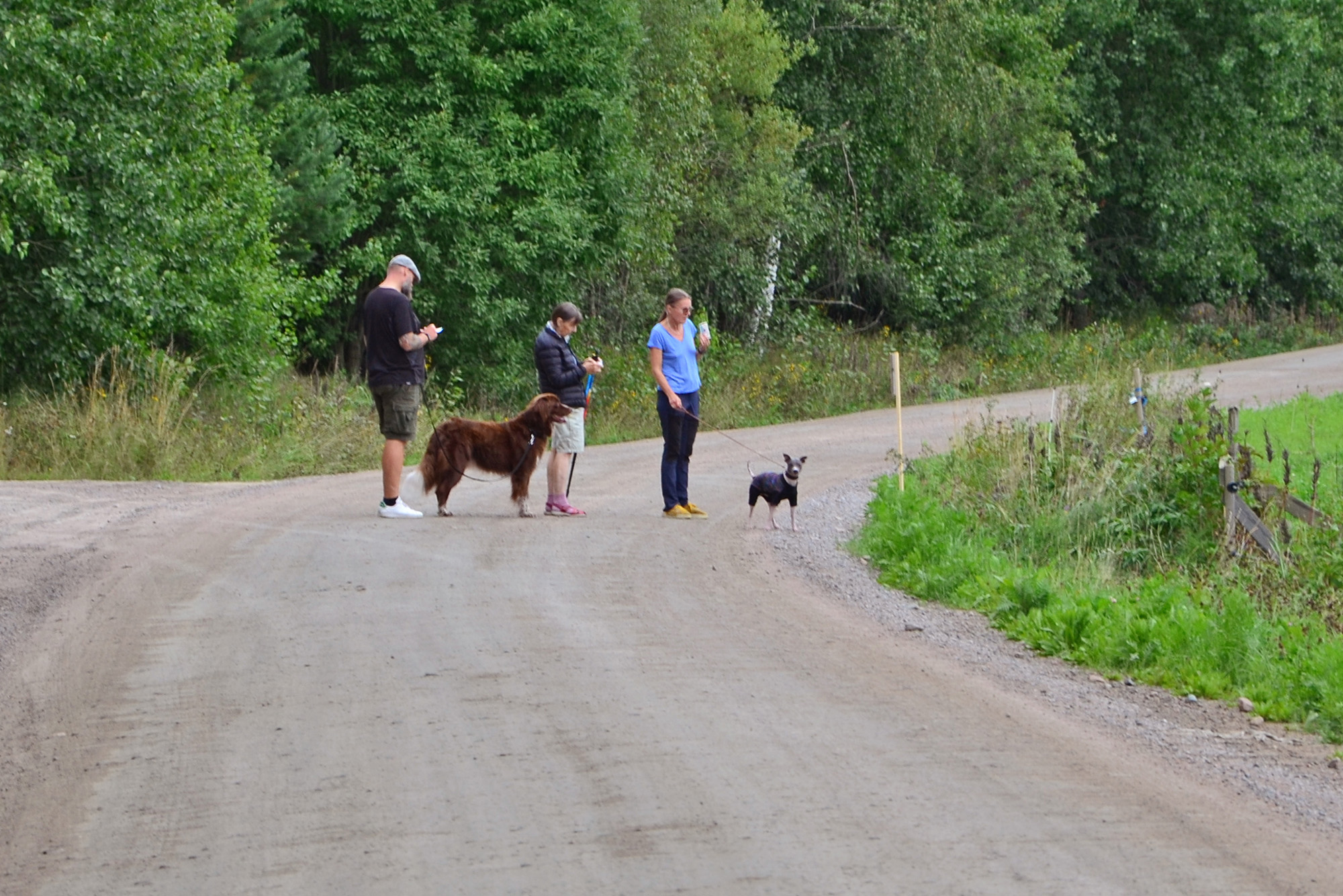 Röste.nu – Nyheter – Välbesökt motionsbingo undgick ruskväder 2021