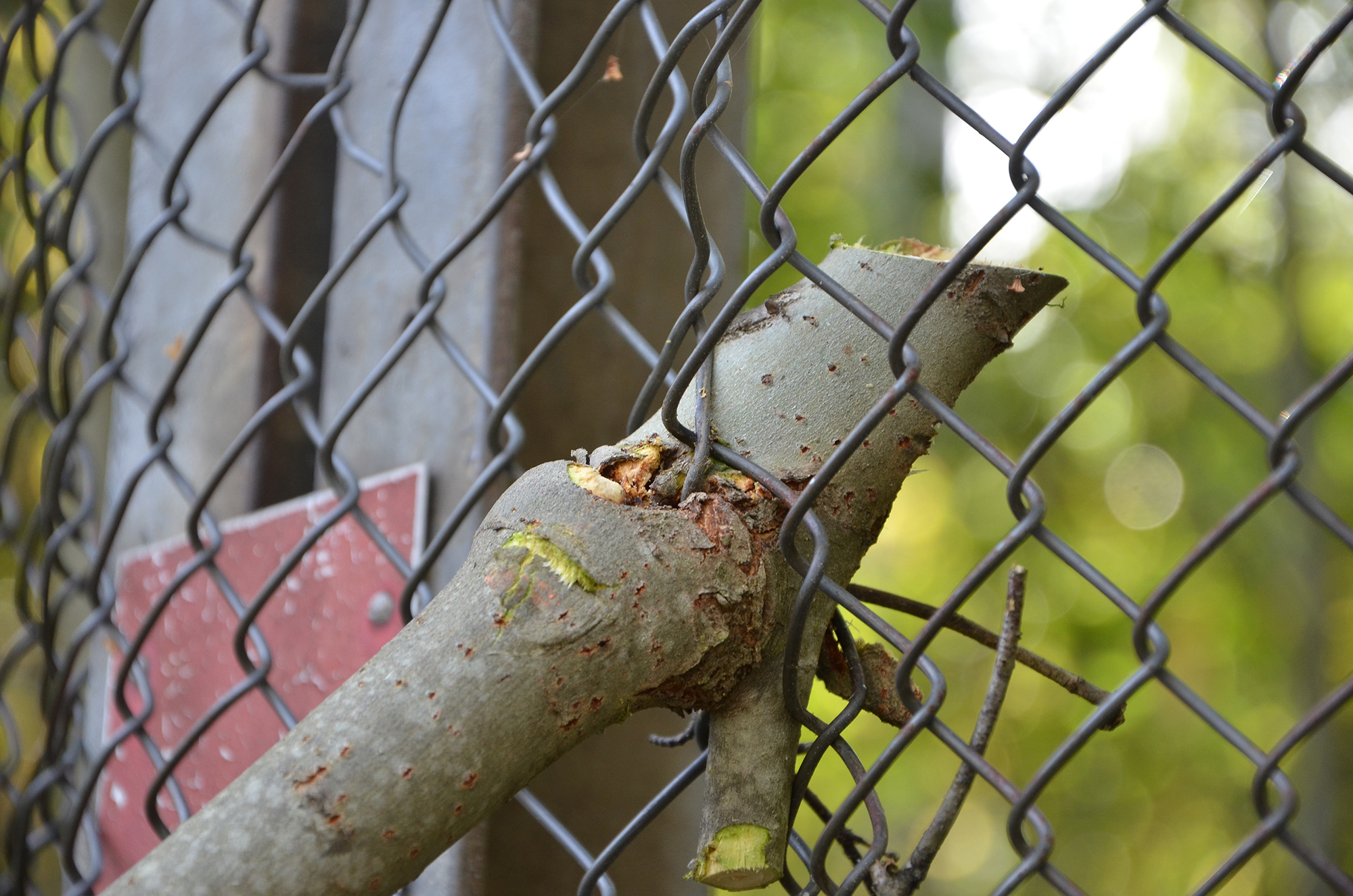 Röste.nu – Nyheter – Ny form på isbanan vid Dönjegården efter arbetsdag 2021