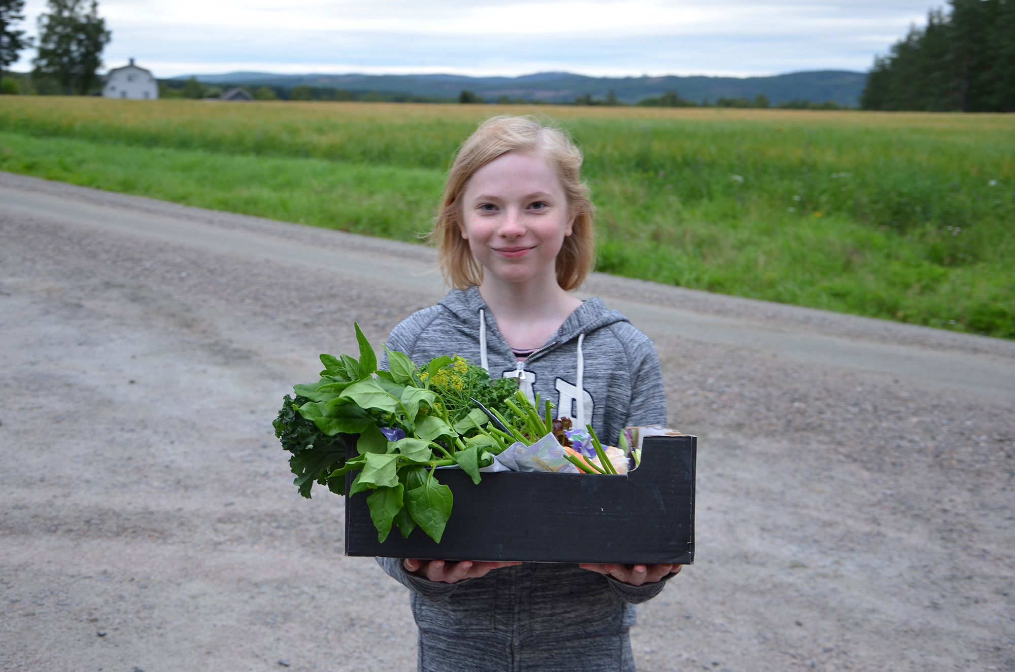 Röste.nu – Nyheter – Gåbingo rena bingon för Rösteförening, 5 augusti 2020