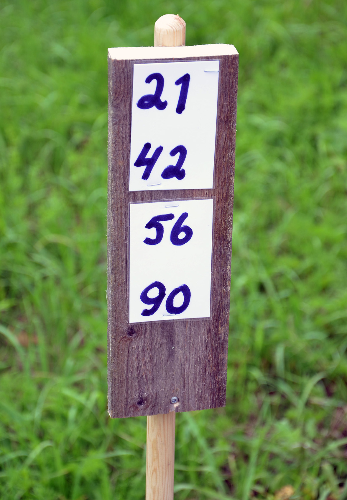 Röste.nu – Nyheter – Gåbingo rena bingon för Rösteförening, 5 augusti 2020