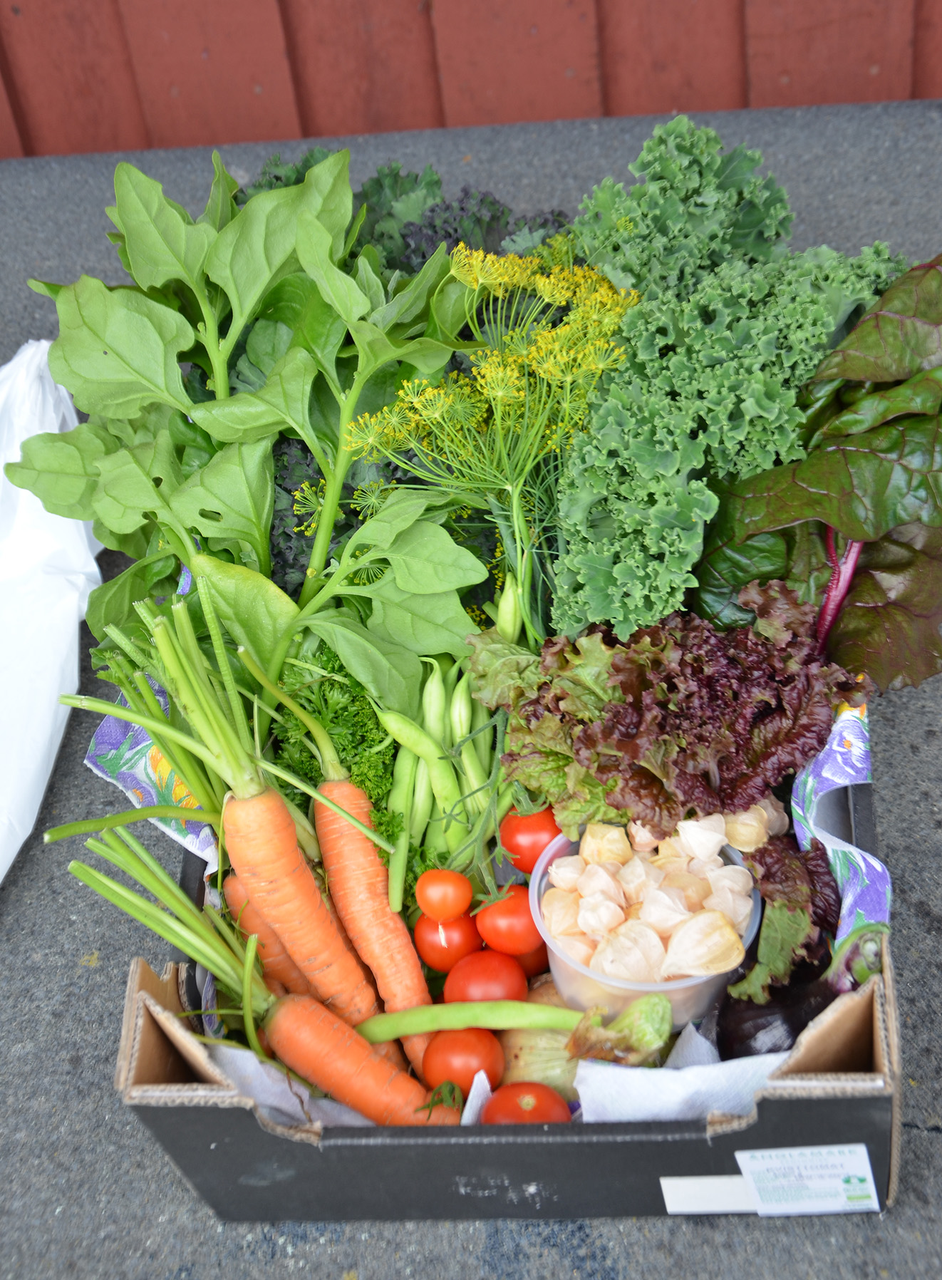 Röste.nu – Nyheter – Gåbingo rena bingon för Rösteförening, 5 augusti 2020